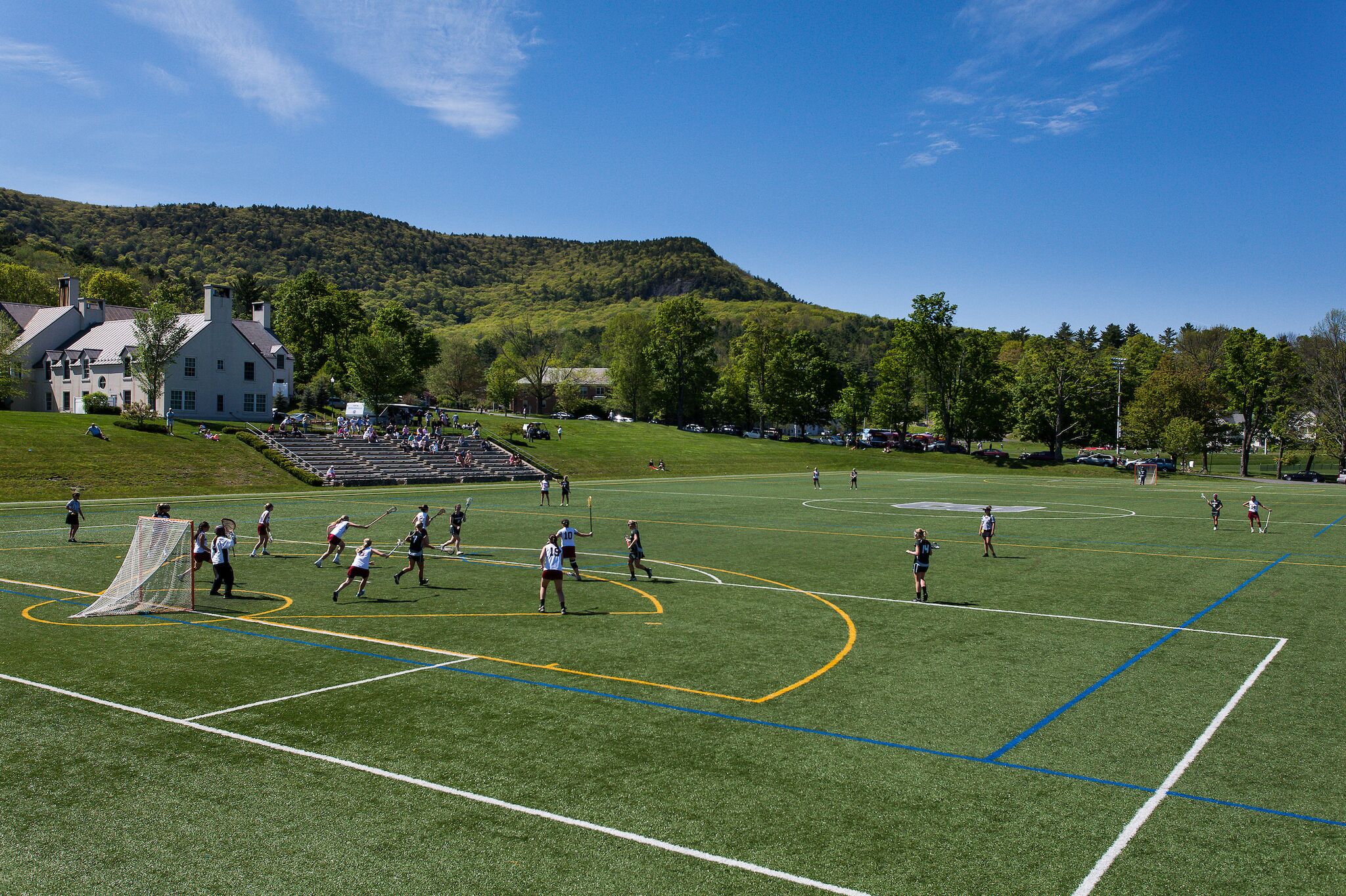 Turf Fields_preview.jpeg
