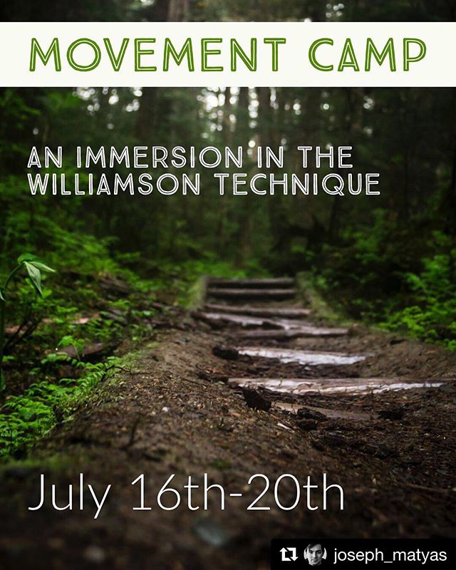 I&rsquo;ll be teaching a series of retreats this summer - think artistic project mapping, luxurious time in the woods, solstice celebrations, fully expressed motion and sound. The first is an actor&rsquo;s movement retreat, and it&rsquo;s open for re