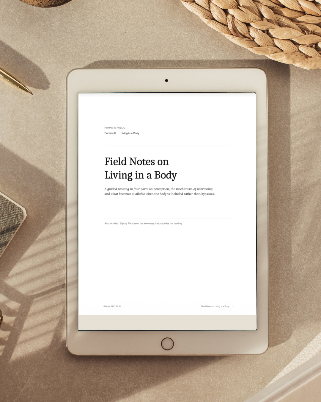 Field Notes on Living in a Body
