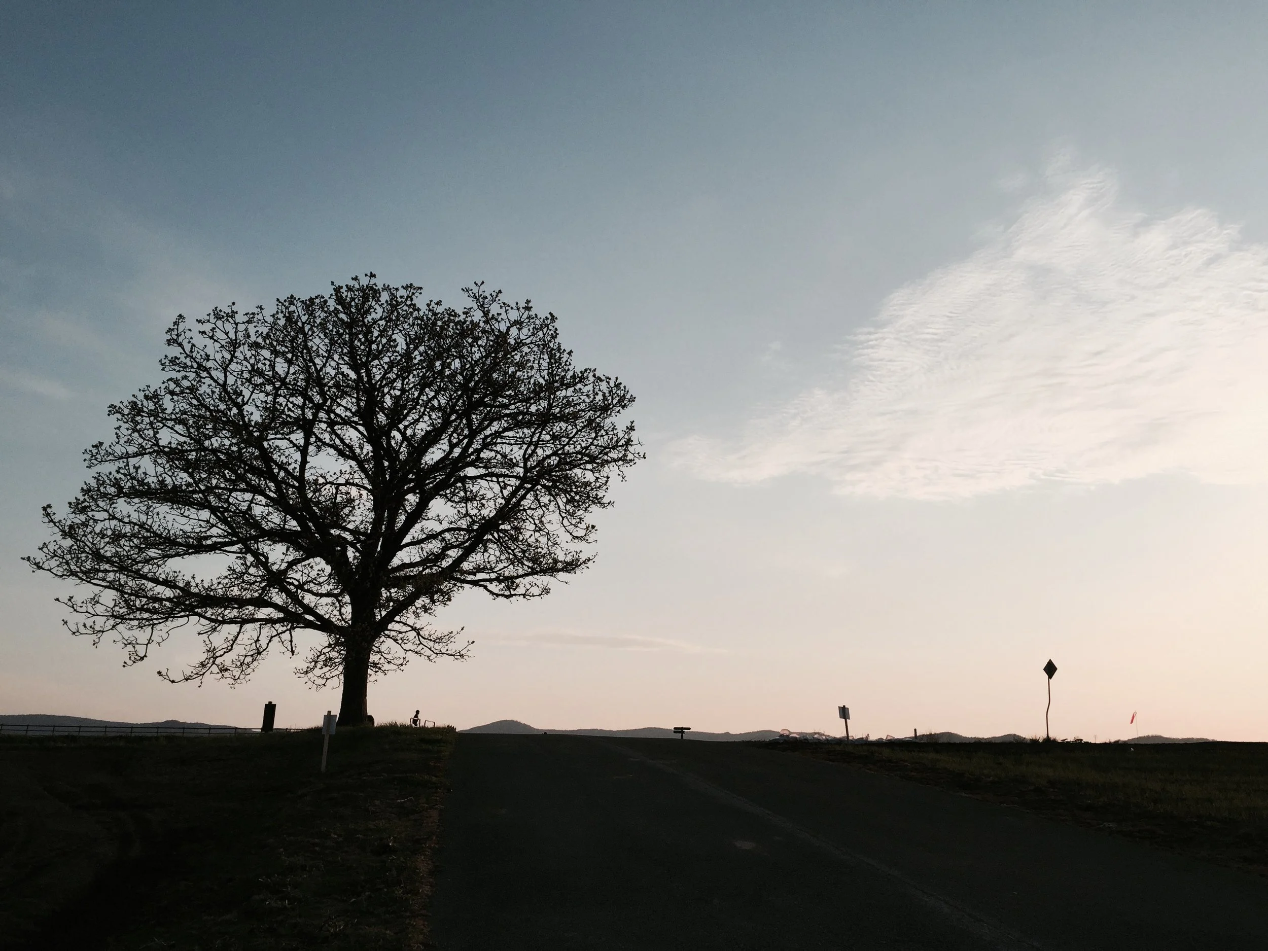 ファイル 2017-01-08 0 28 53.jpeg