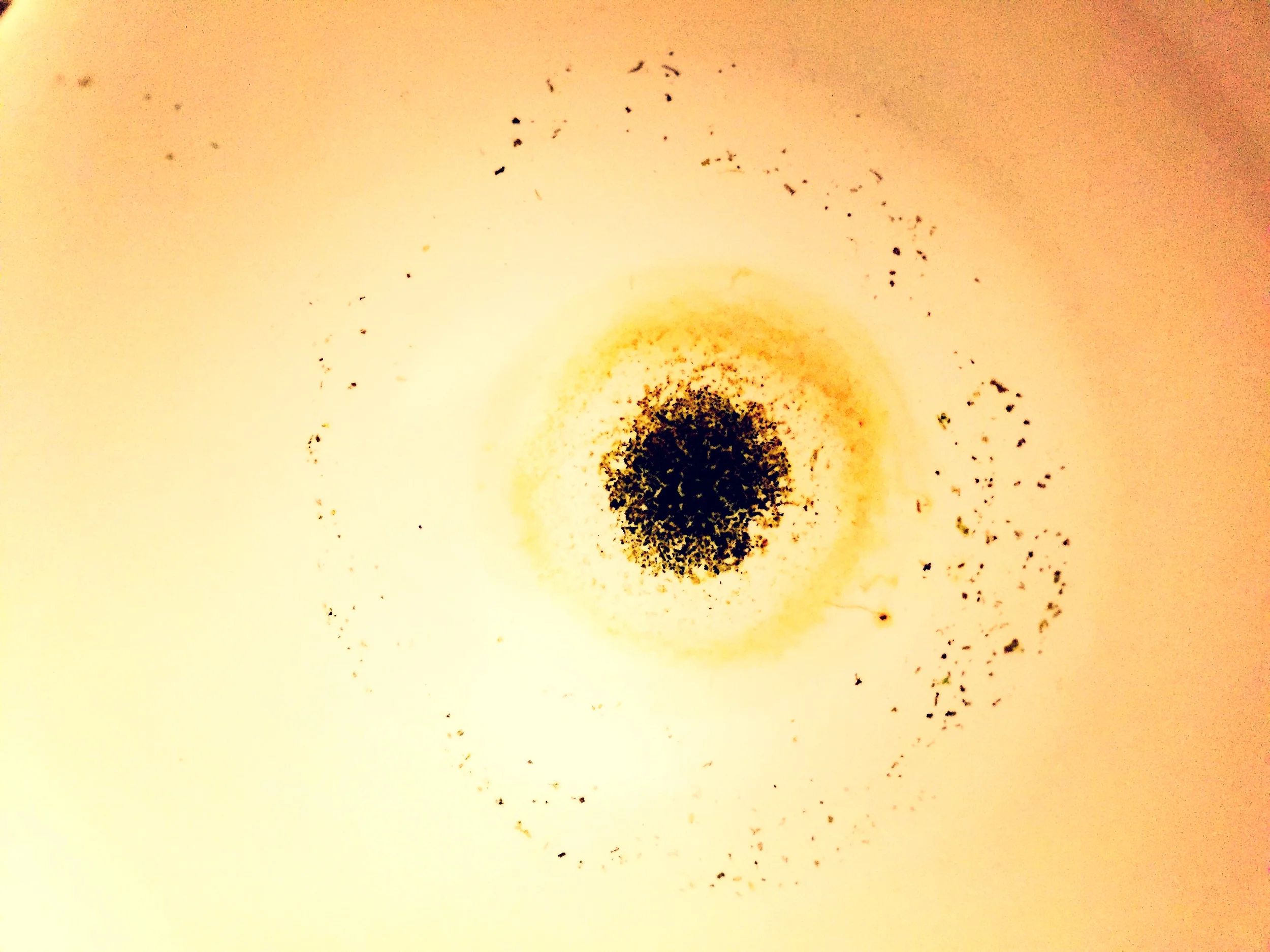 ファイル 2017-01-08 0 36 58.jpeg