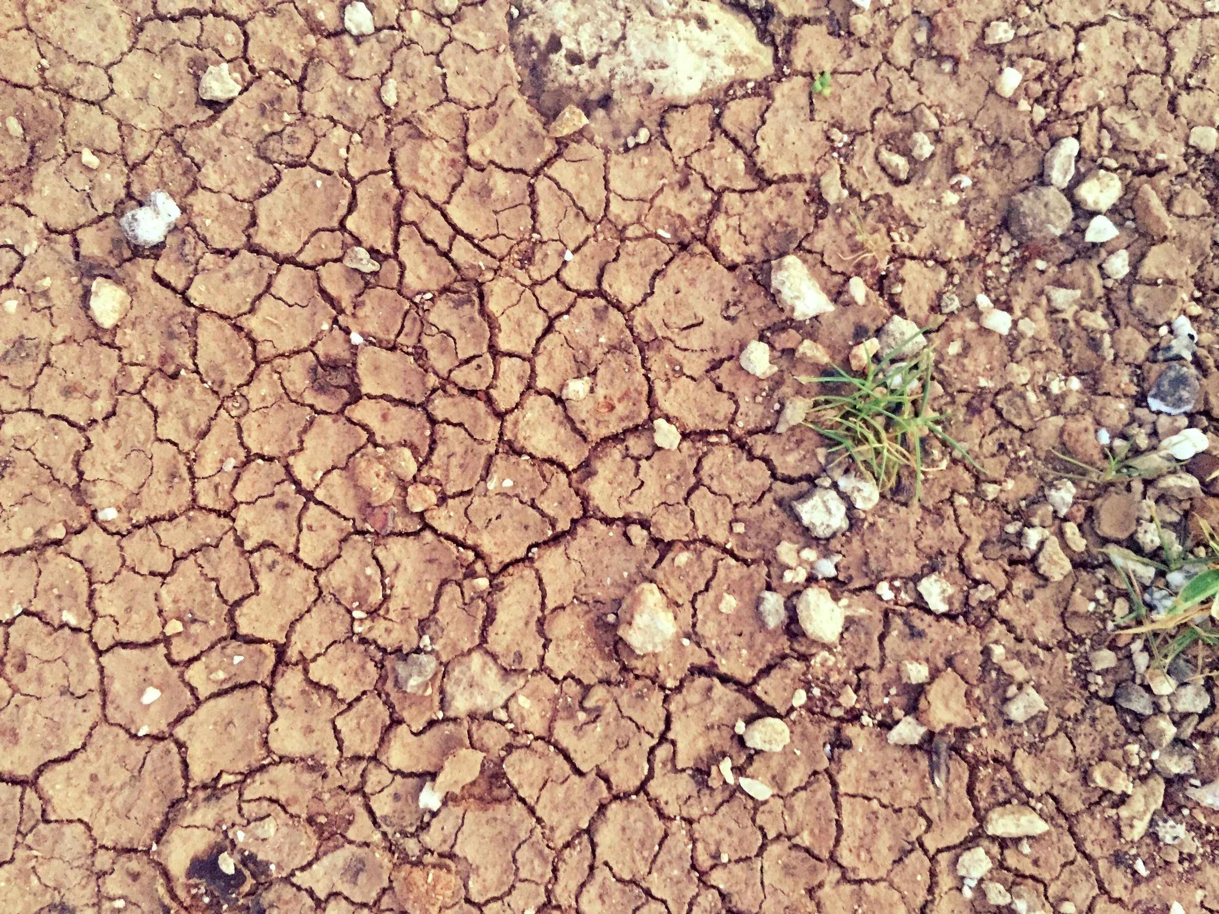 ファイル 2017-01-08 0 56 14.jpeg