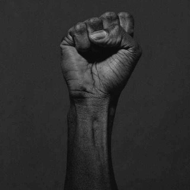 Being silent right now, or any other day makes you part of the problem. Speak up, loud and clear and do not back off no matter what... .
.
.
.
.
#georgefloyd #blacklivesmatter✊🏾 #speakup