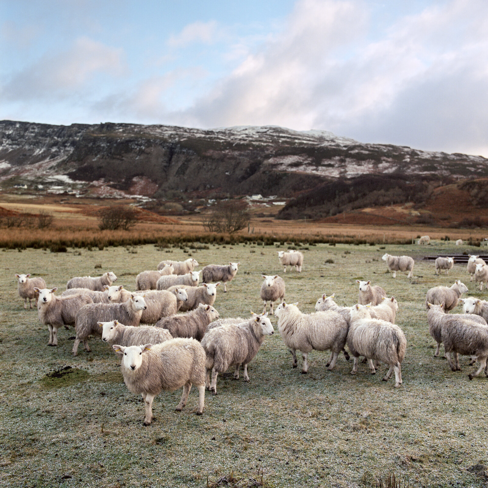 CharlesDelcourt-Scotland-Eigg-43.jpg