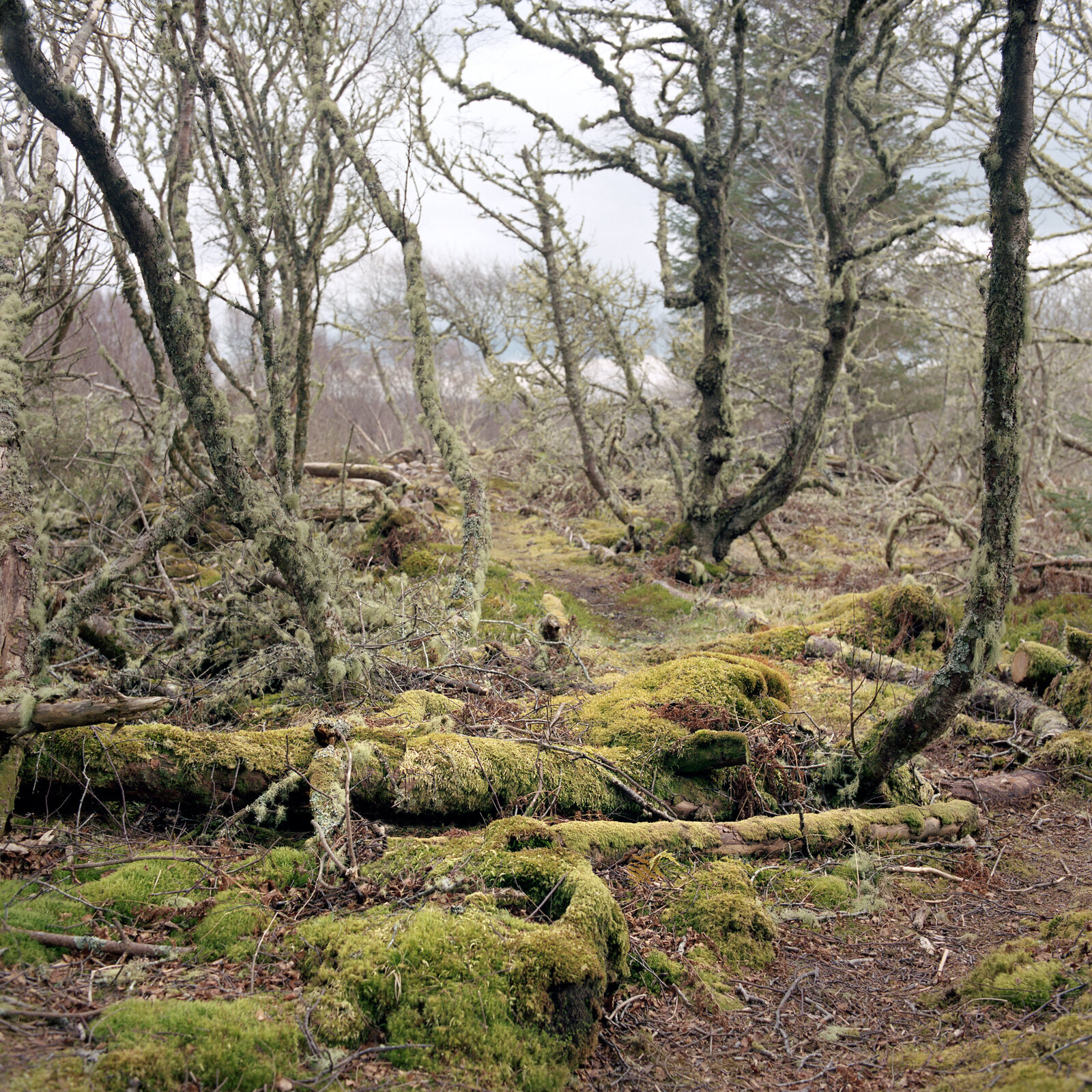 CharlesDelcourt-Scotland-Eigg-59.jpg