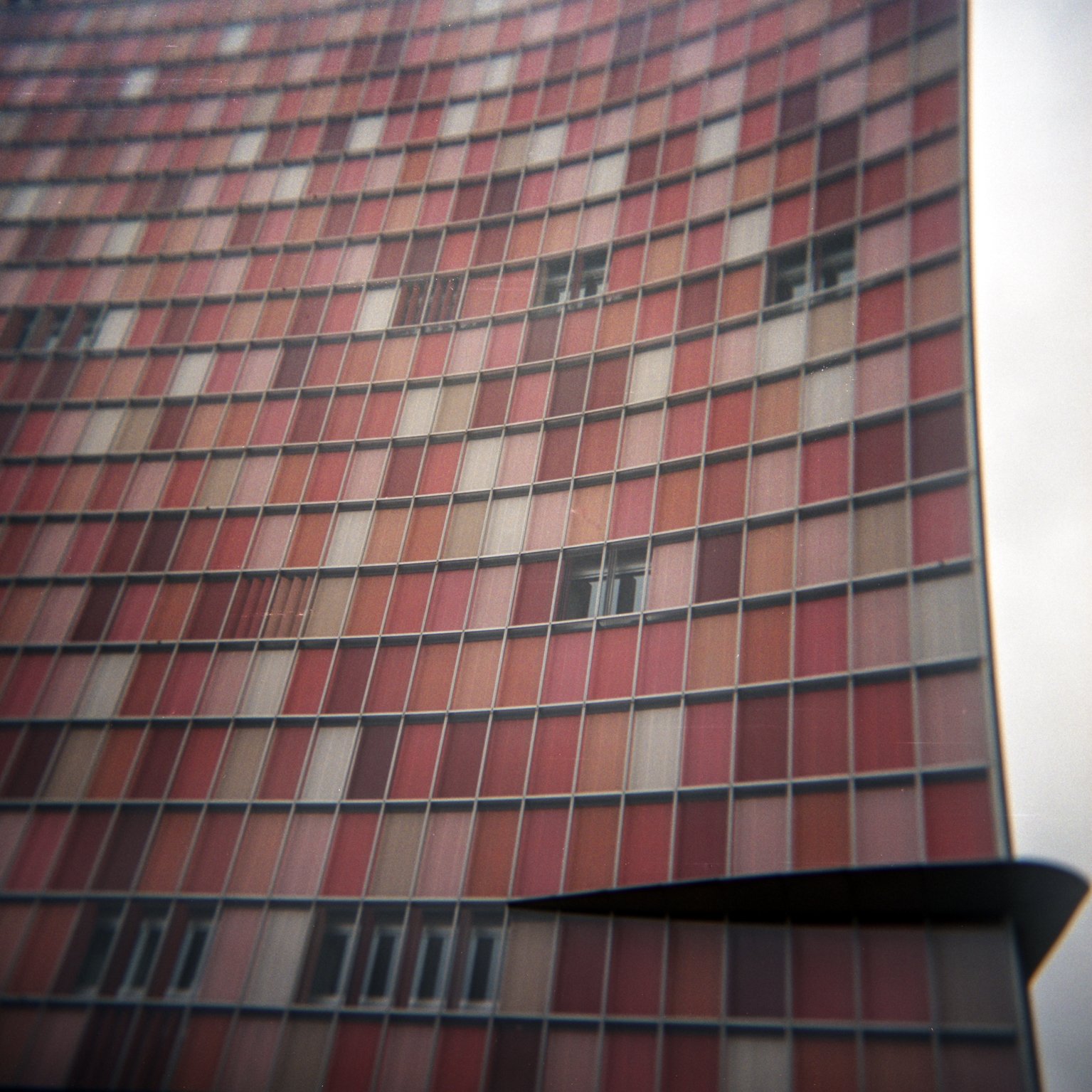 2011 berlin pantone holga.jpg