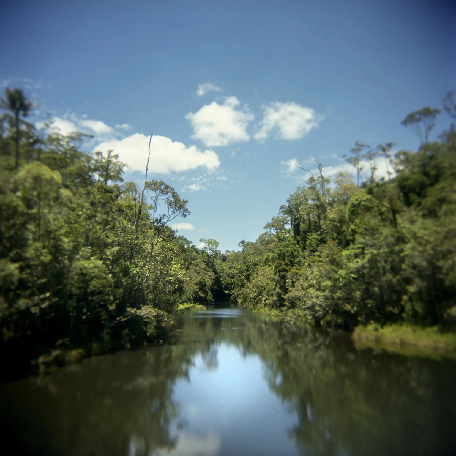 anbasibe river hol.jpg