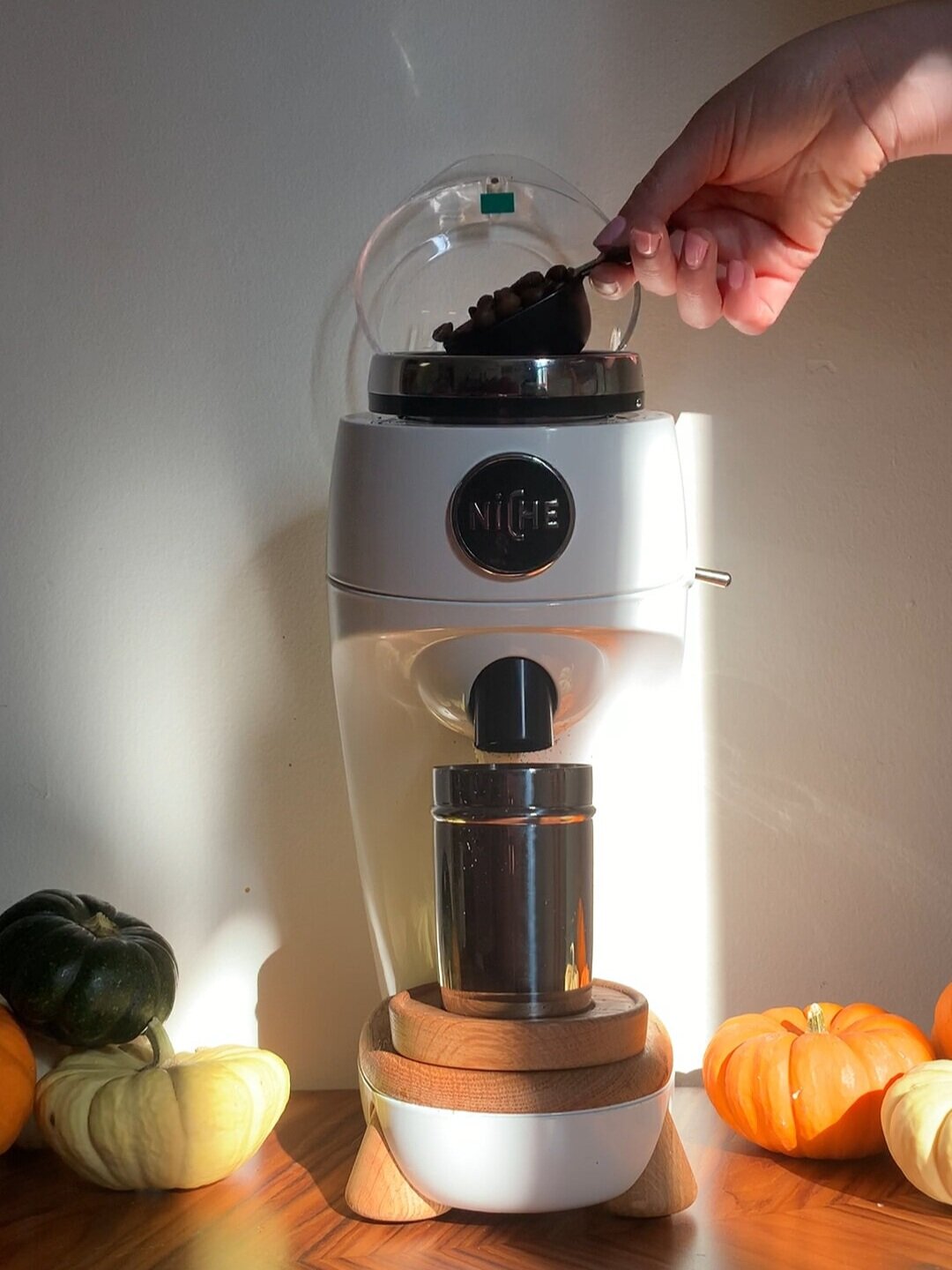 niche coffee grinder