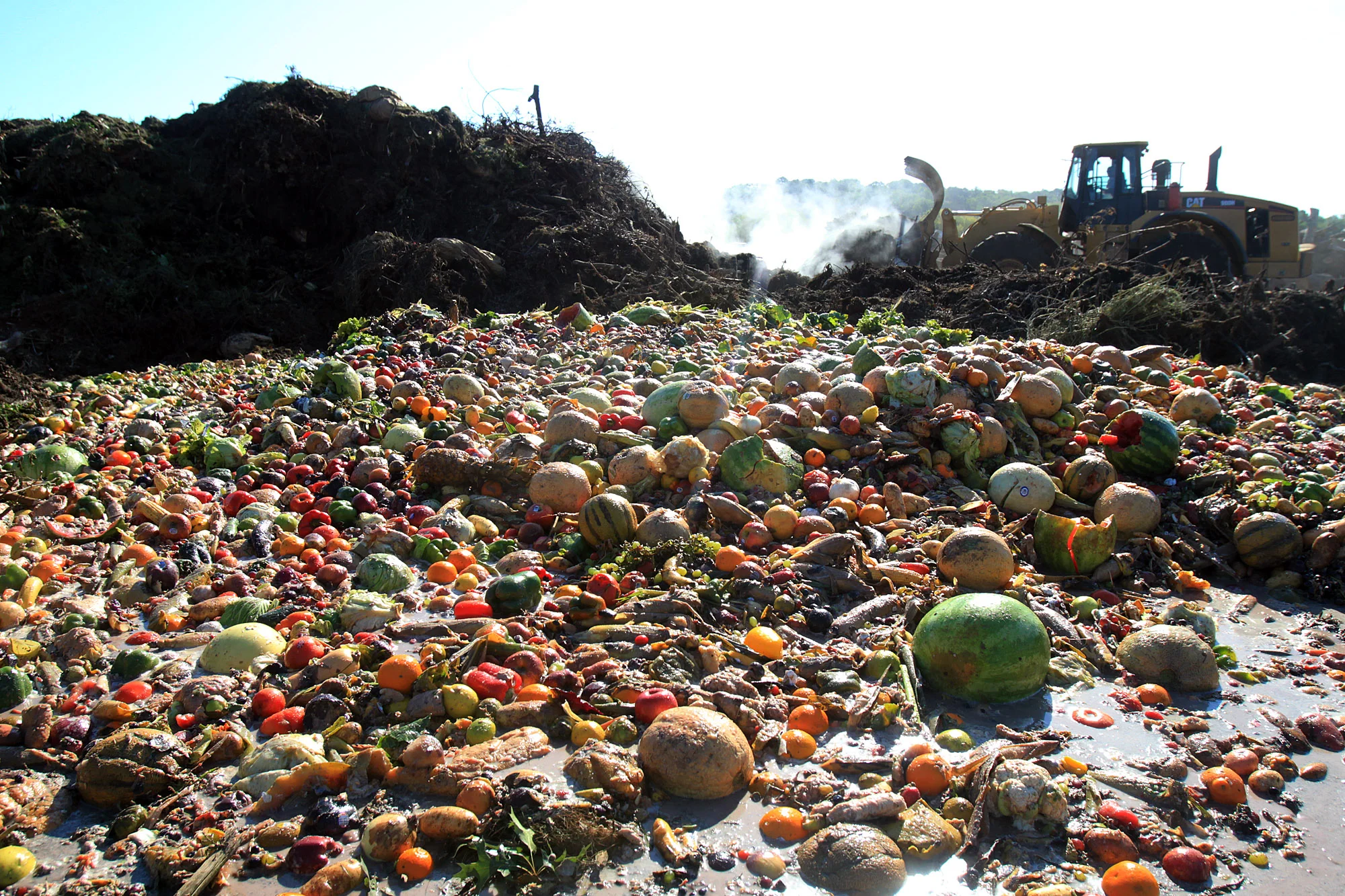 foodwaste.jpg