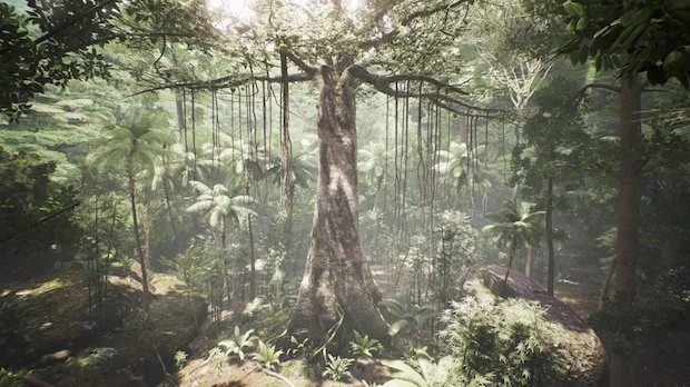 tree-620x348.jpg