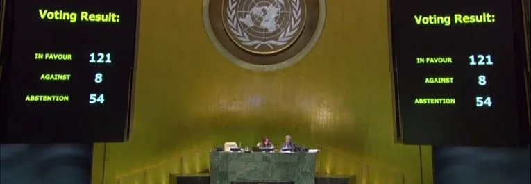 UN vote on Declaration of the Rights of Peasants and Other People Working In Rural Areas