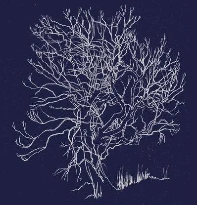 original_400_600.jpg