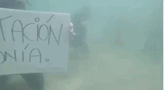 Scuba Diving protestors