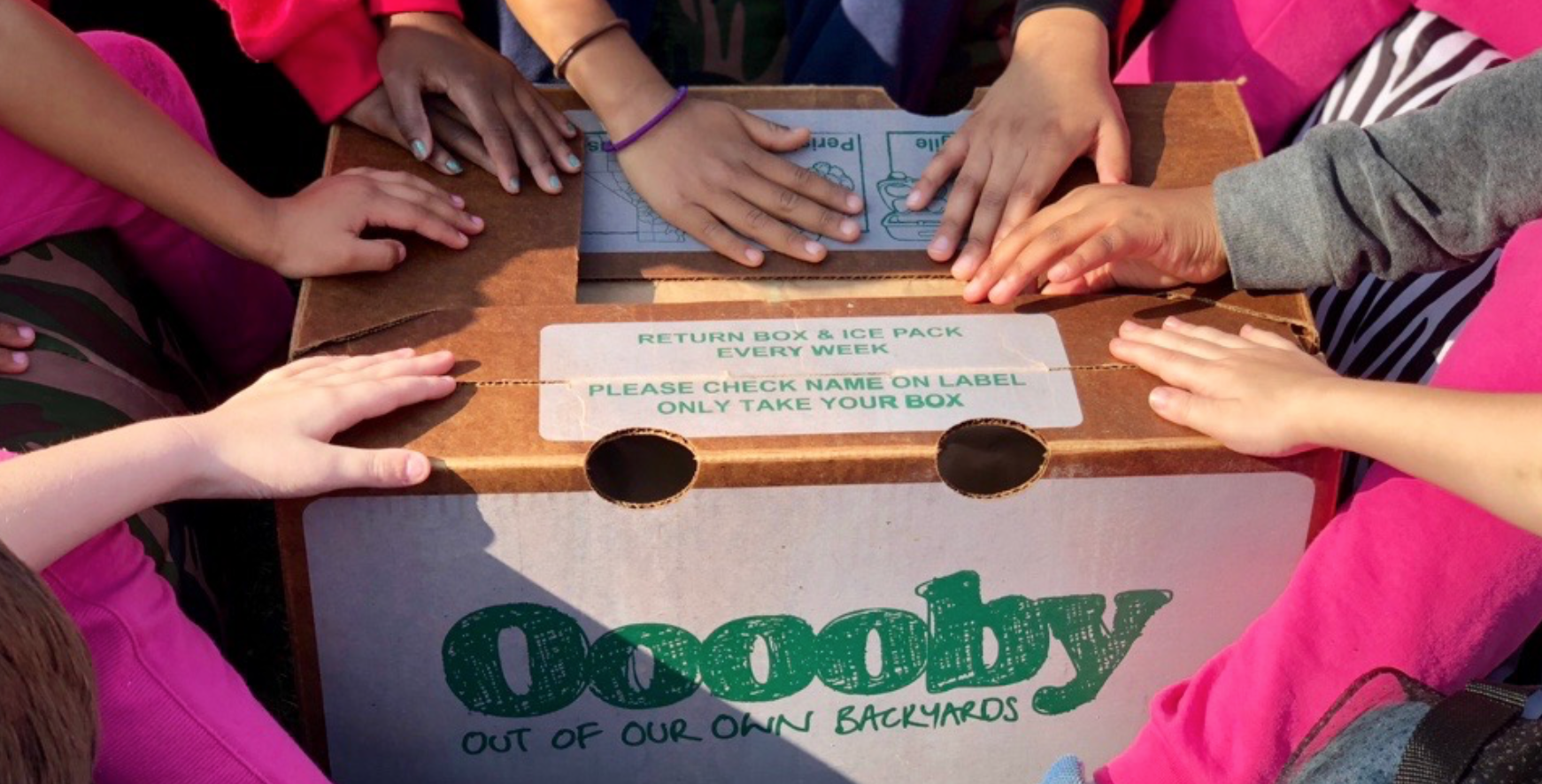 An “Ooooby” box (“Out of our own backyards”) from the Fresno Food Collective. Photo by&nbsp;Sarah Ardin&nbsp;on&nbsp;Unsplash