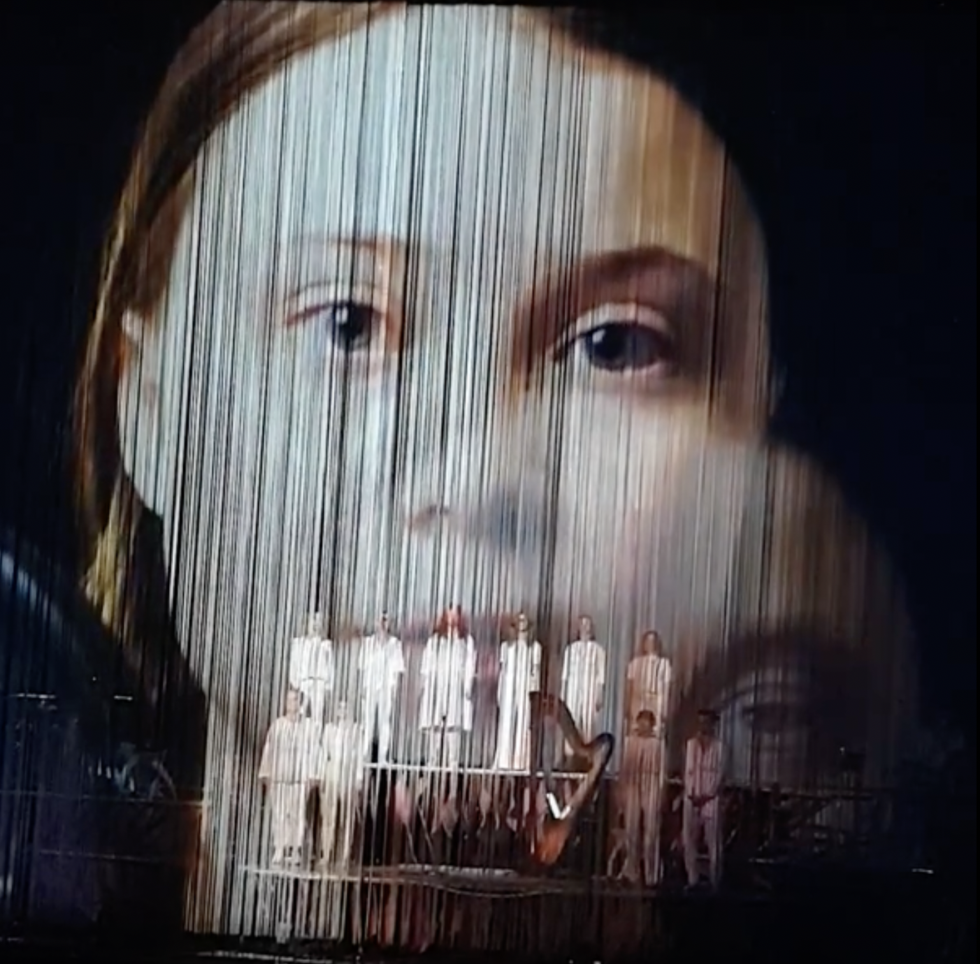 Greta Thunberg clip at Bjork concert