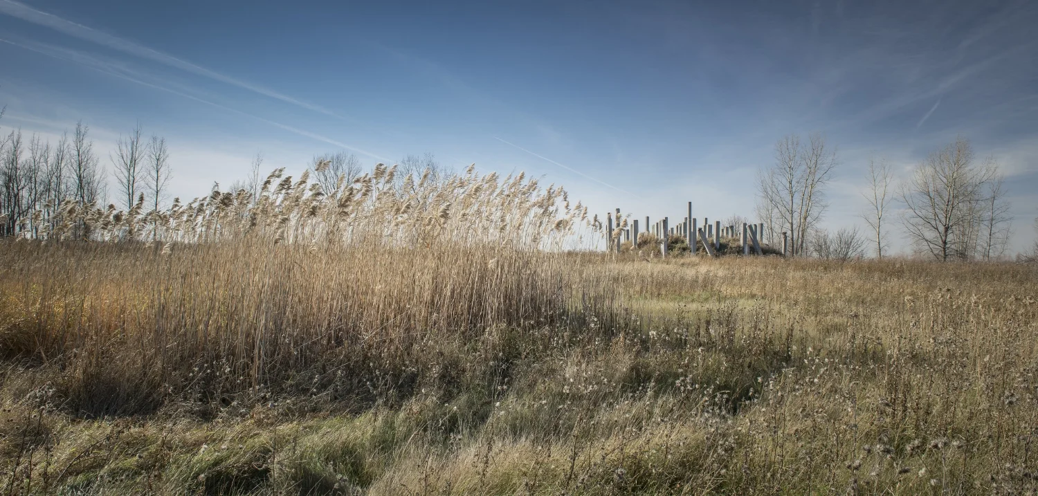 Winnipeg's Stonehenge 3