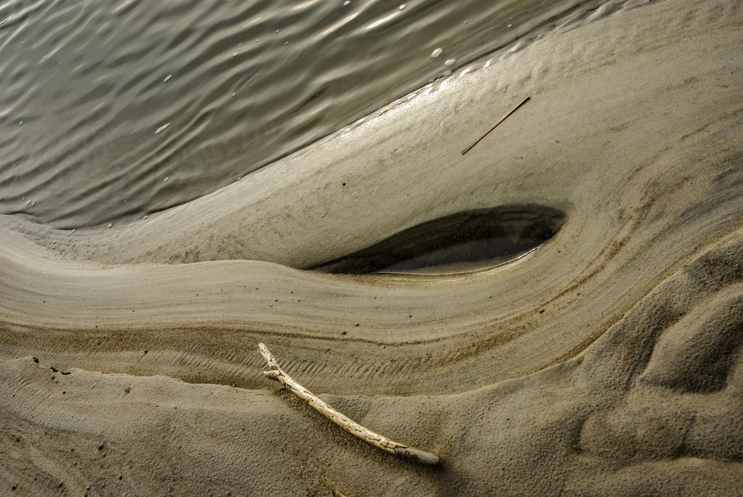 Lakeshore Choreography, Grand Beach, MB