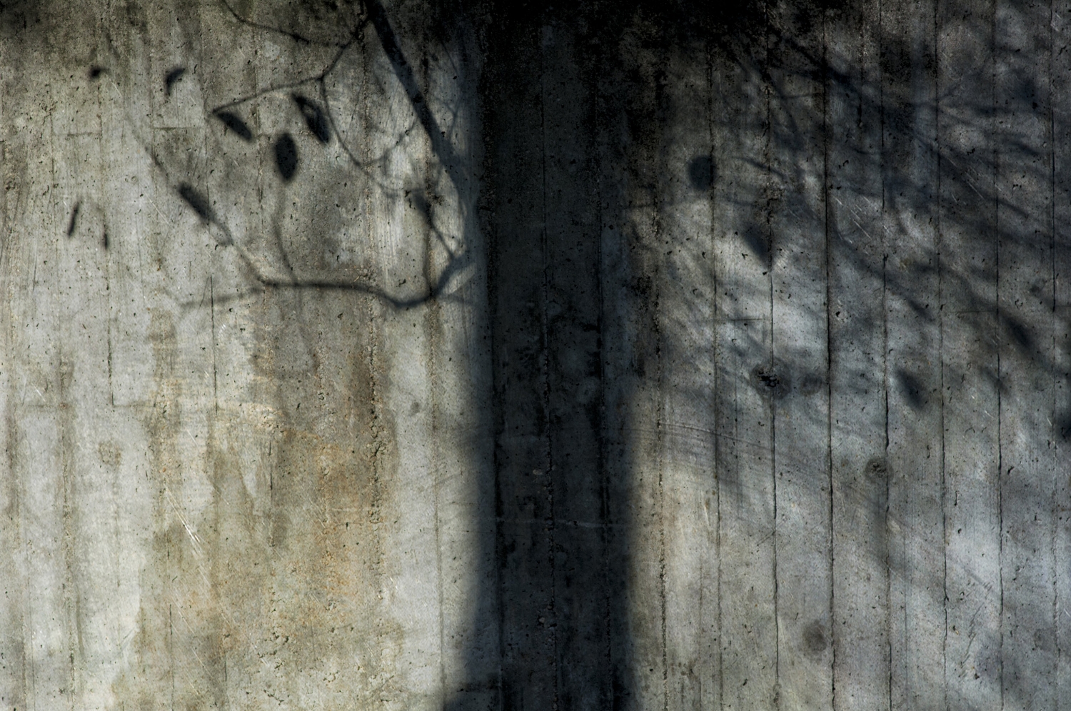 Abstract Yet Concrete