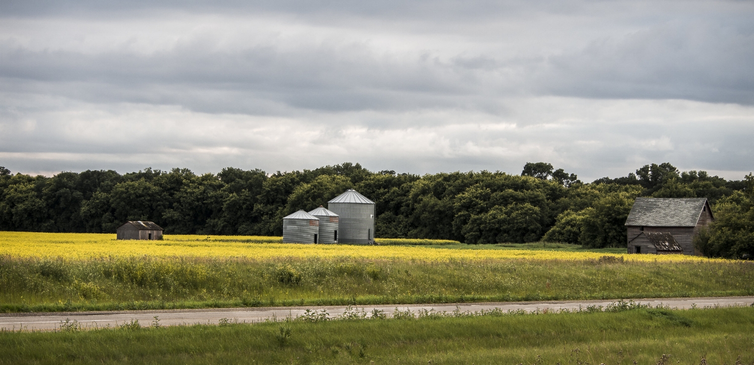 Silo in field, Rural Manitoba