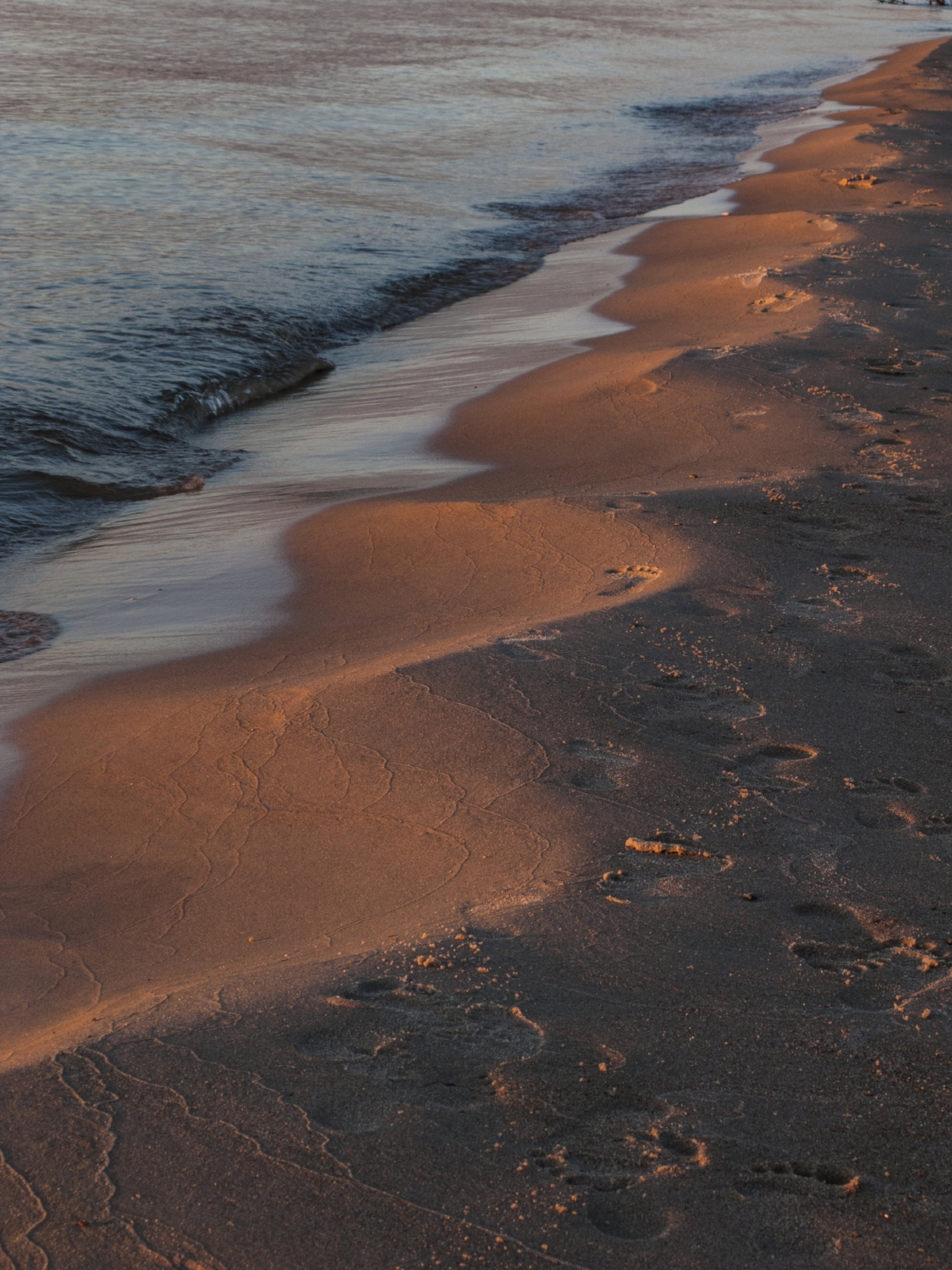 Sand Snake and Sunset