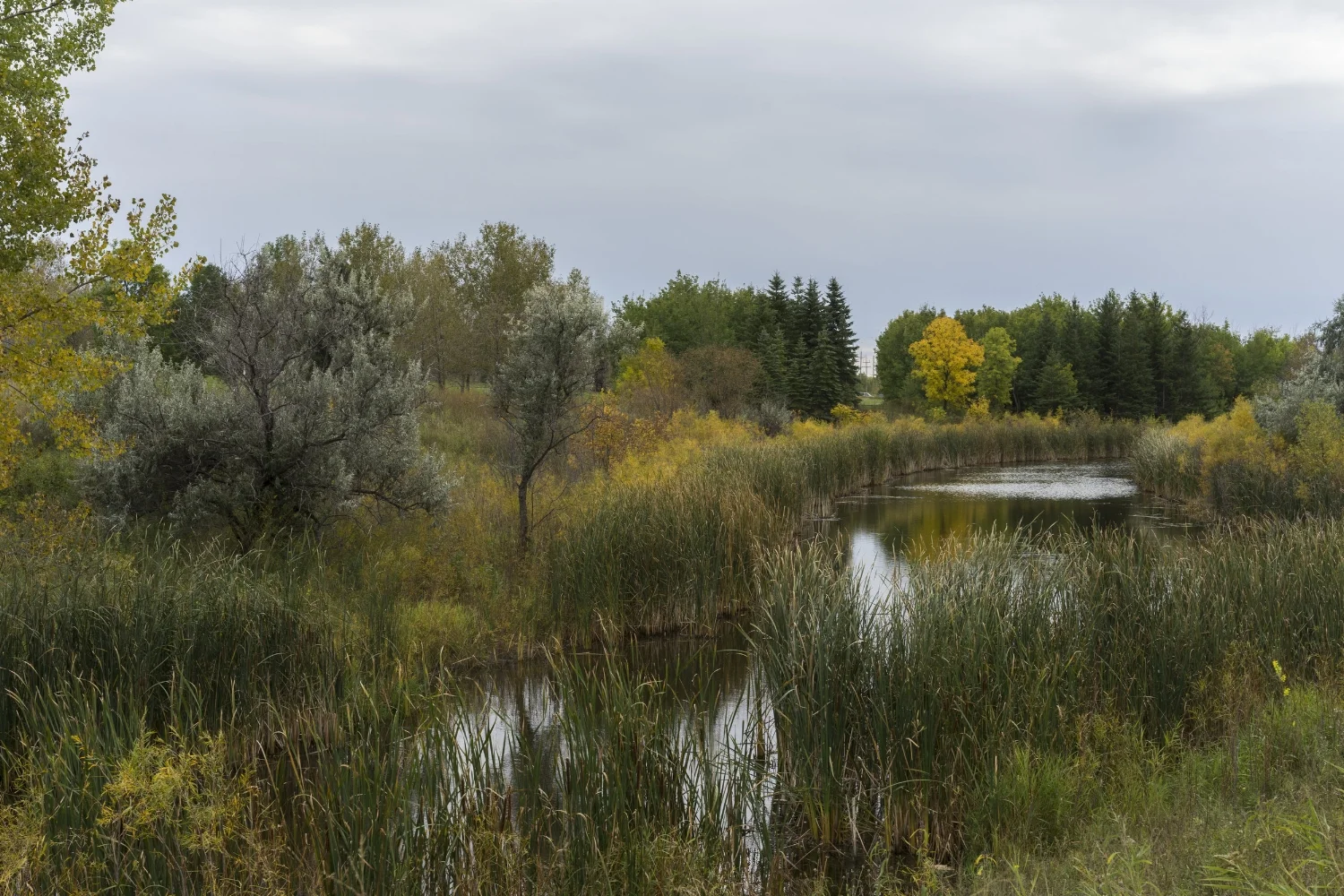 Harbour View Landscape