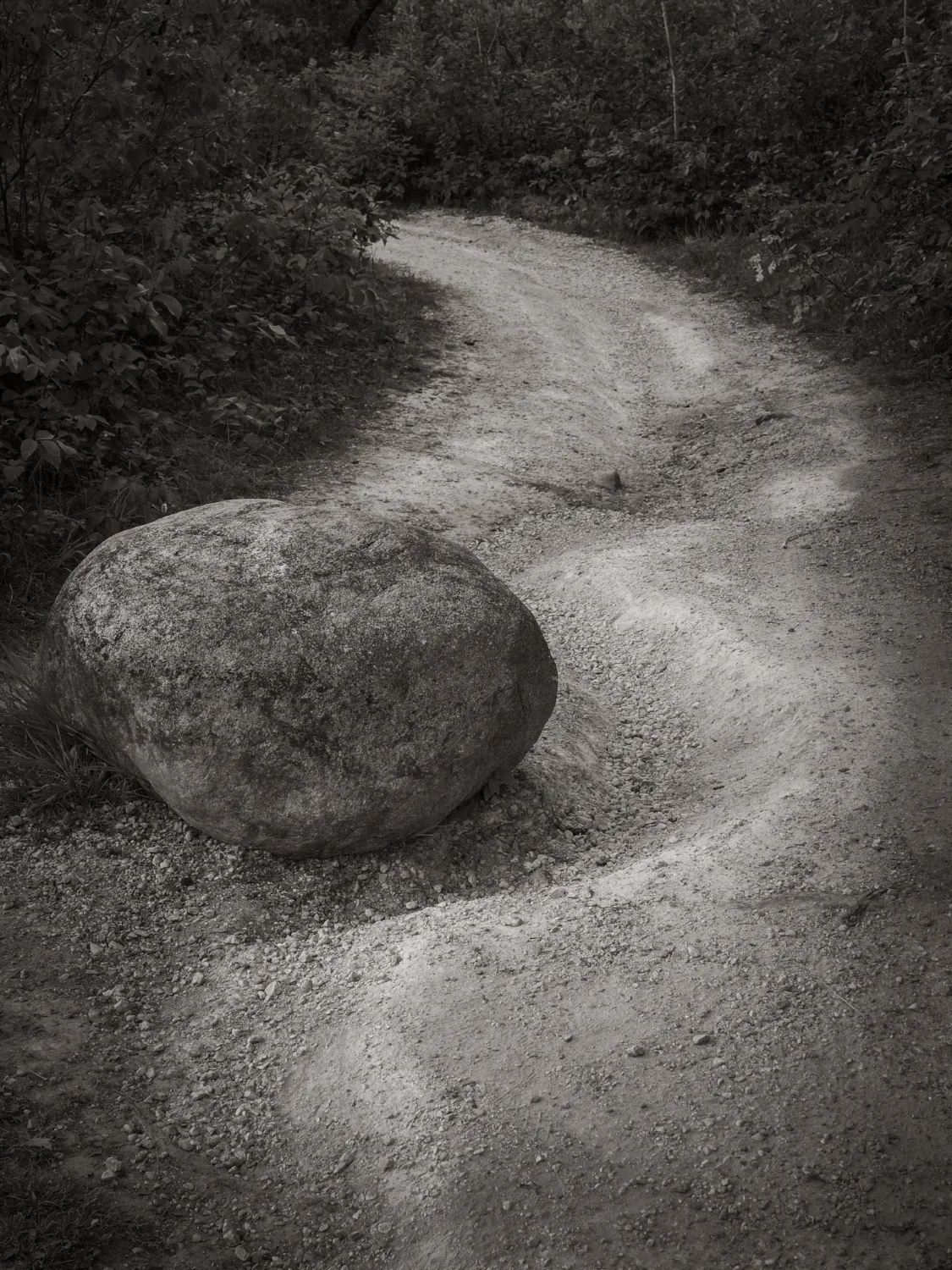 The Path Less Traveled