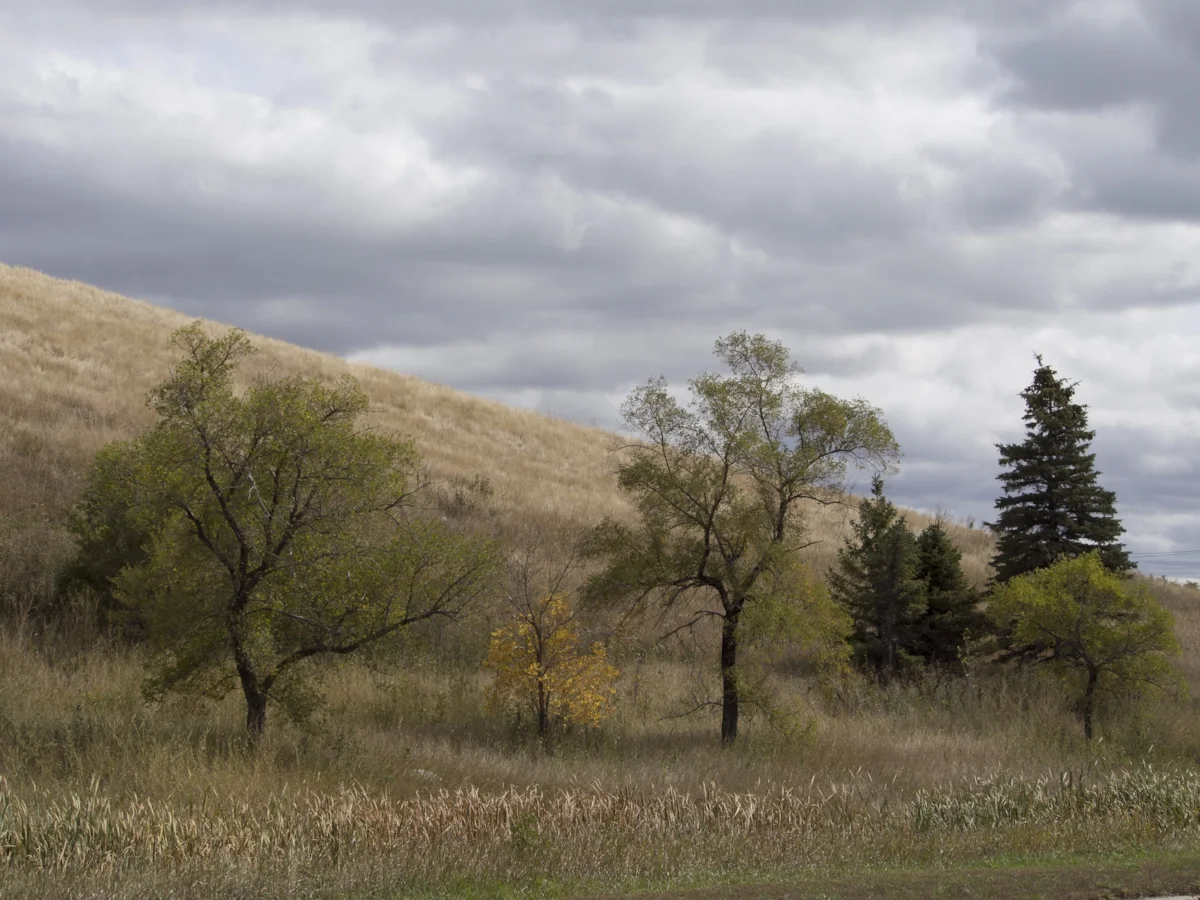 Garbage Hill Grandiosity