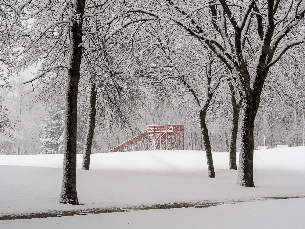 Red Toboggan & Trees