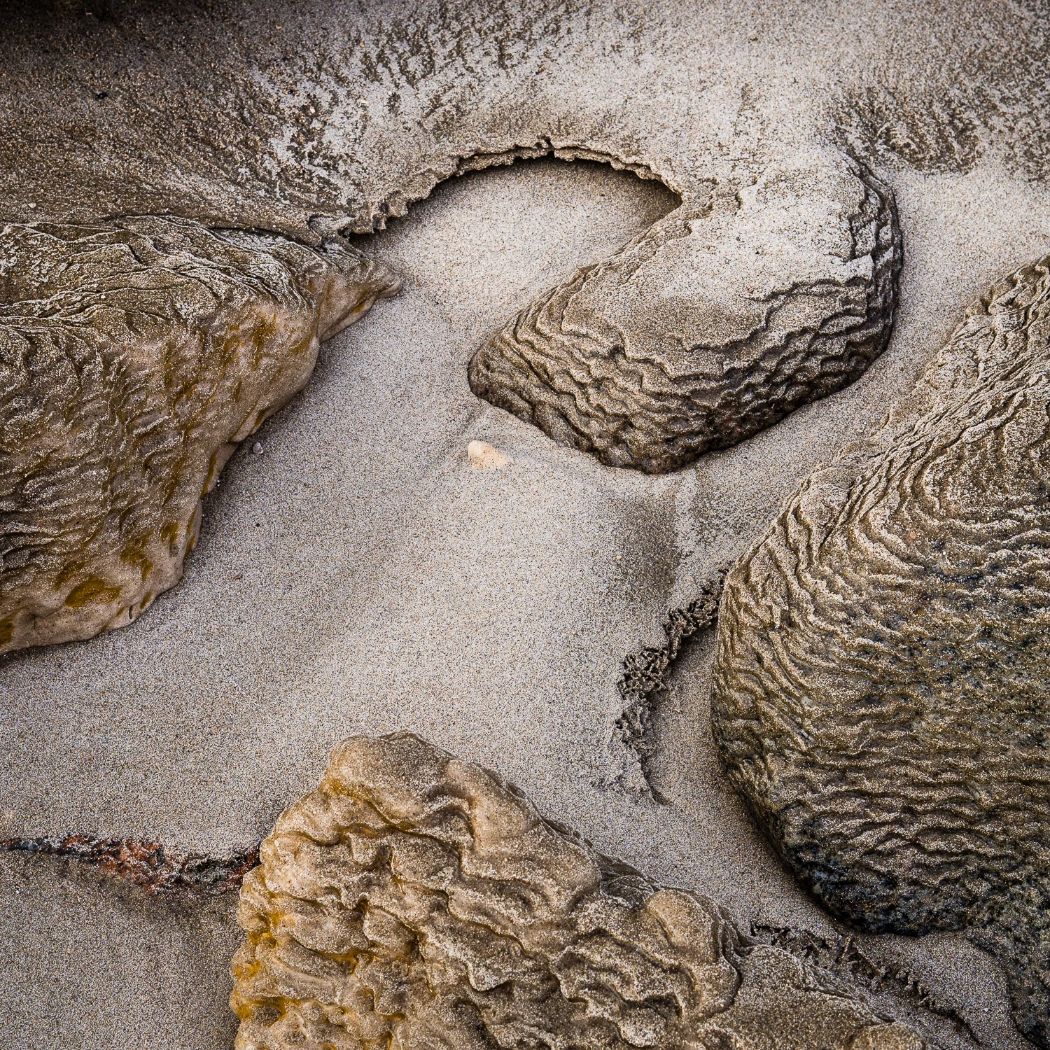 Frozen Sand Abstract 2