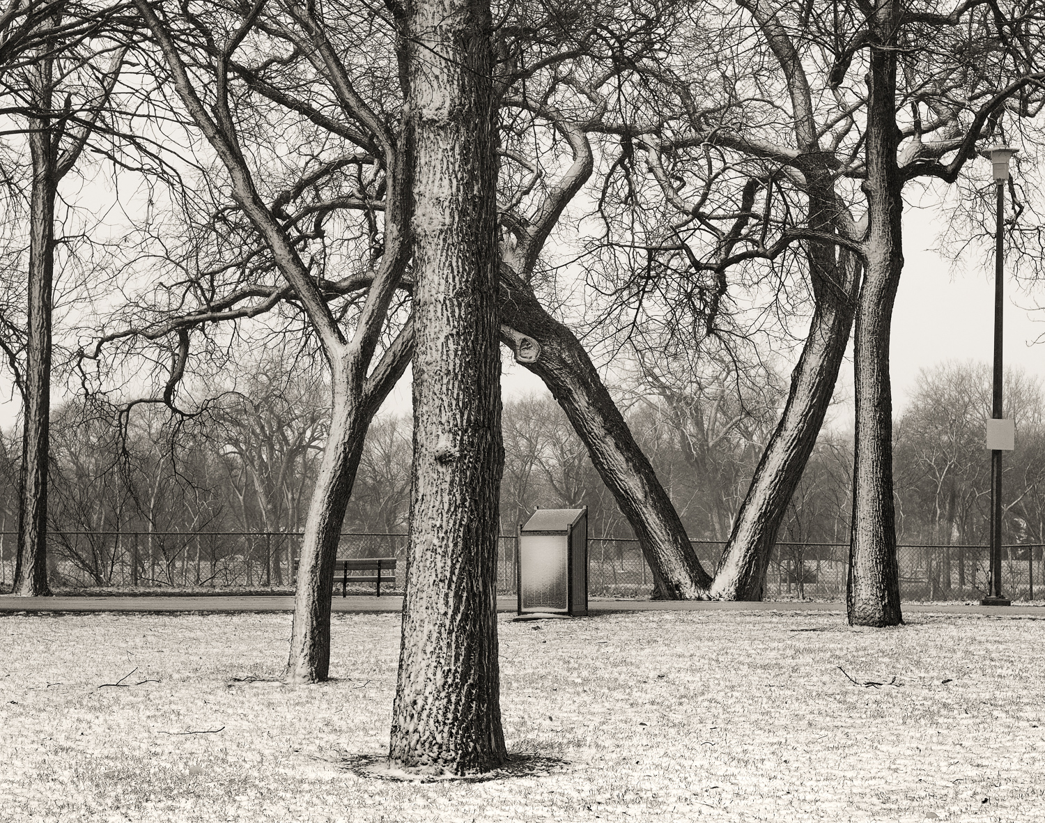 Composition Around Garbage