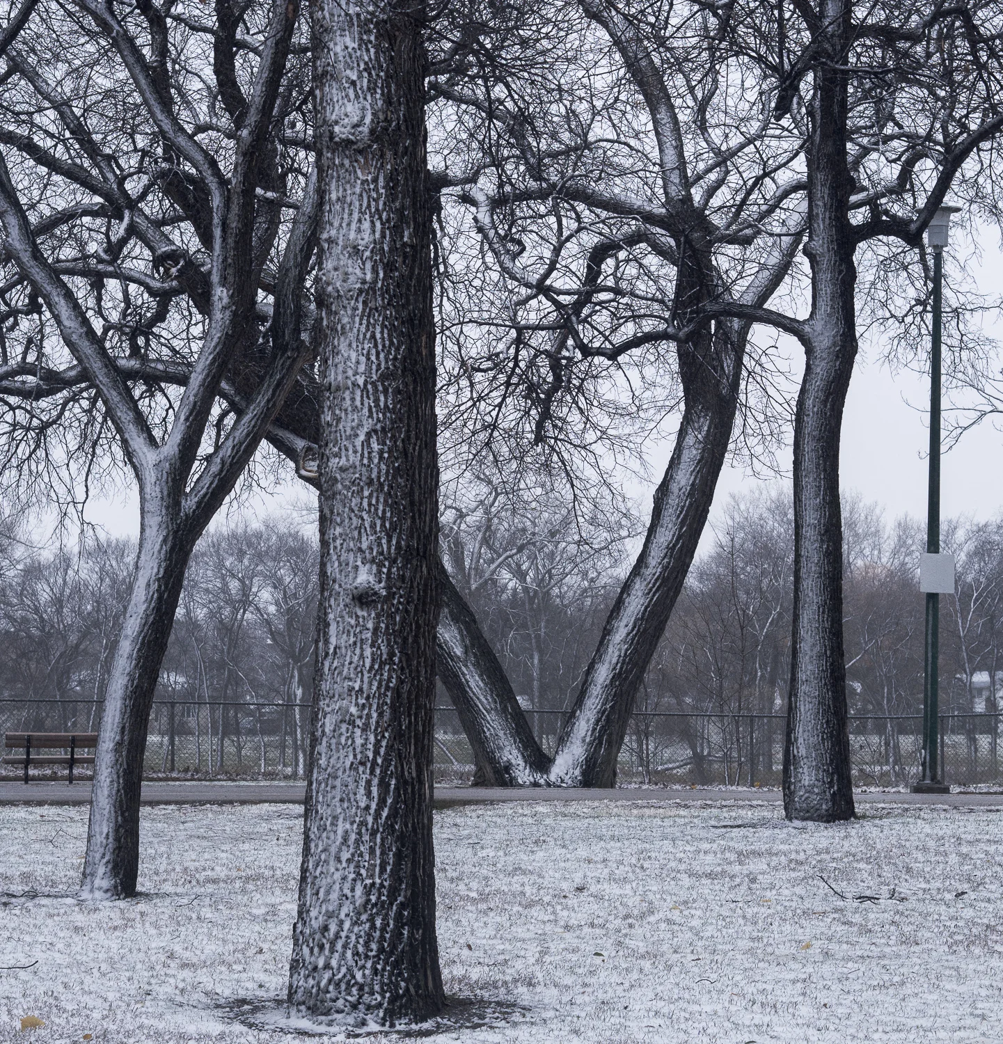 One of these is not like the others