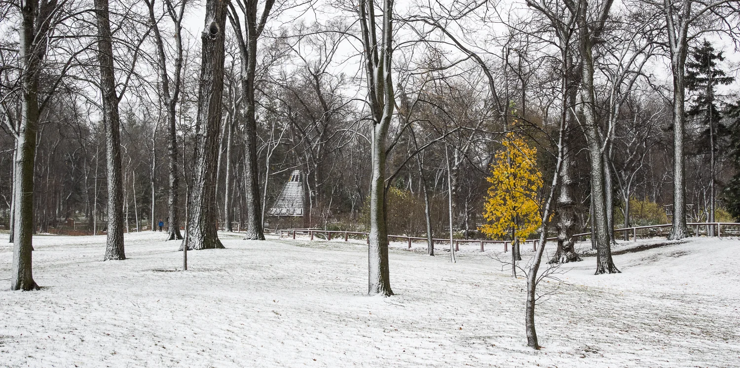 Standing out in a Crowd