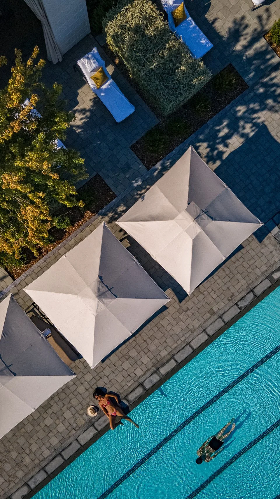 Four-Seasons-Resort-Napa Valley-Reviews