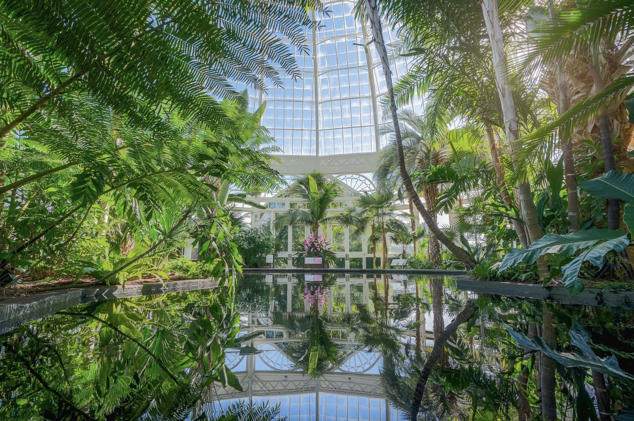 NEW-YORK-BOTANICAL-GARDEN-REVIEW-5-REASONS-TO-VISIT