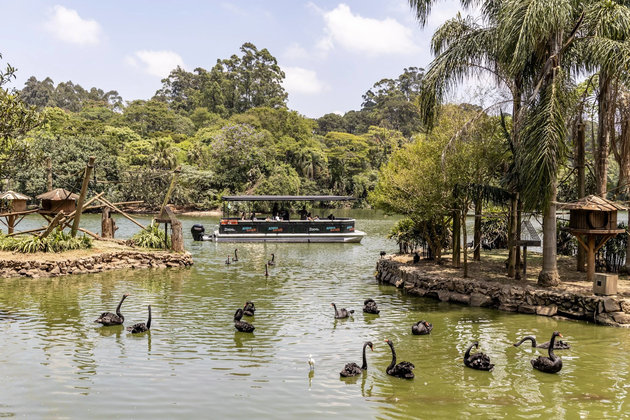 Inside Latin America’s Largest Zoo & Safari Experience