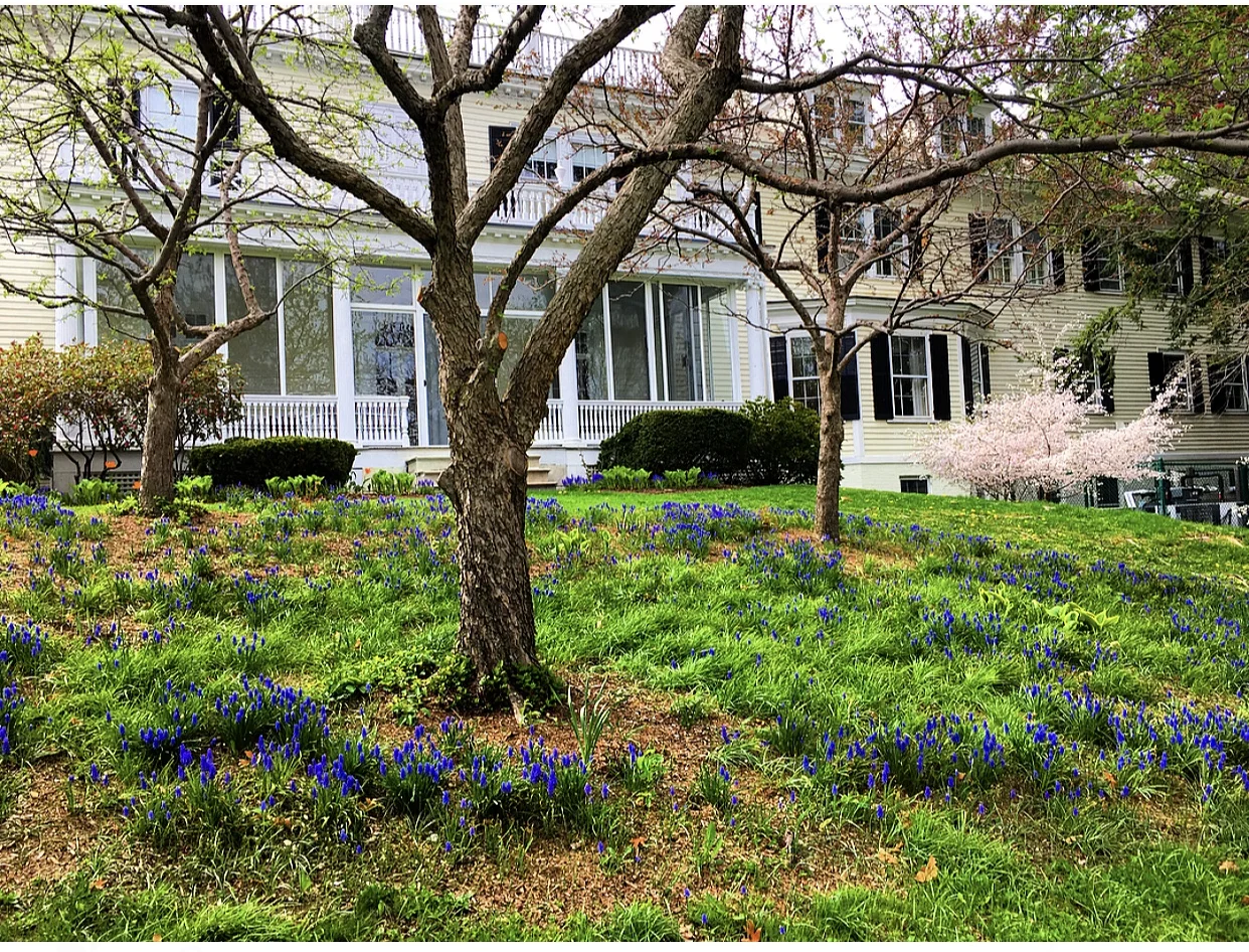 Williamstown, Massachusetts