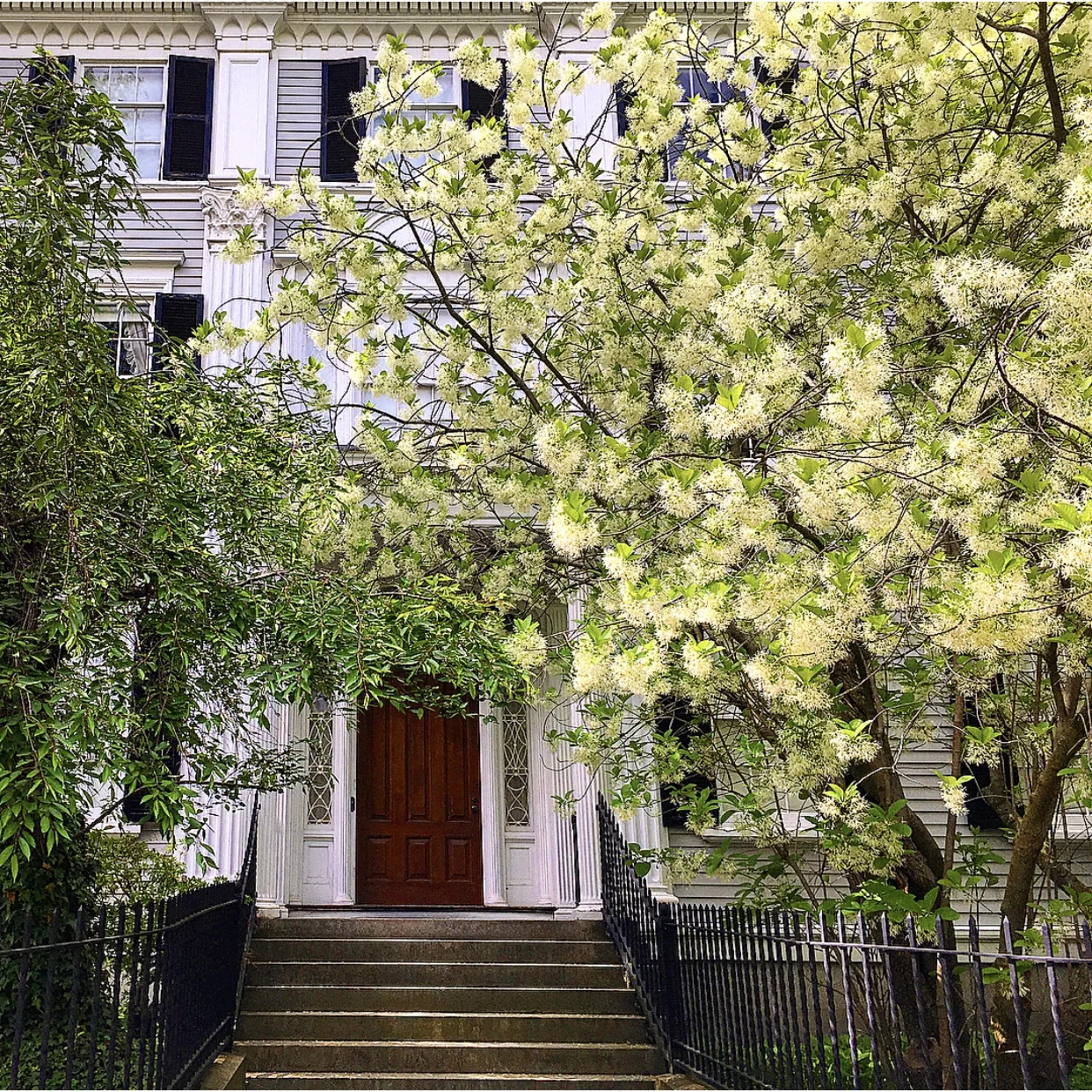 Historic Architecture in Salem, Massachusetts