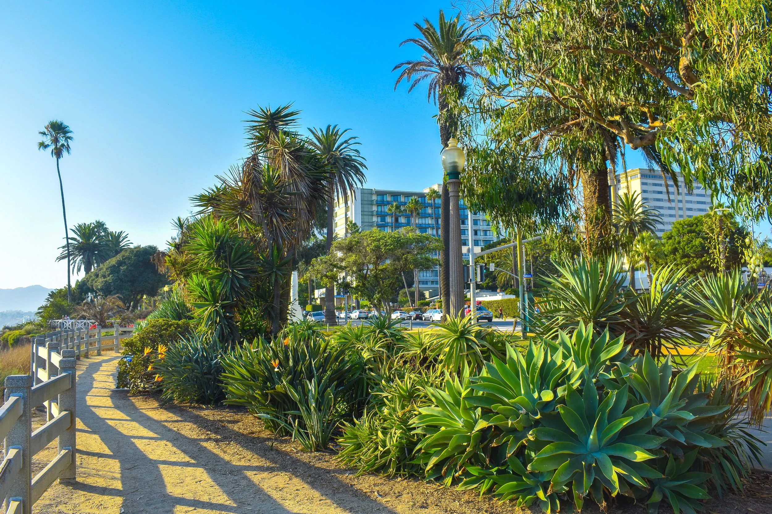 FIG at Fairmont Miramar Hotel &amp; Bungalows in Santa Monica, California