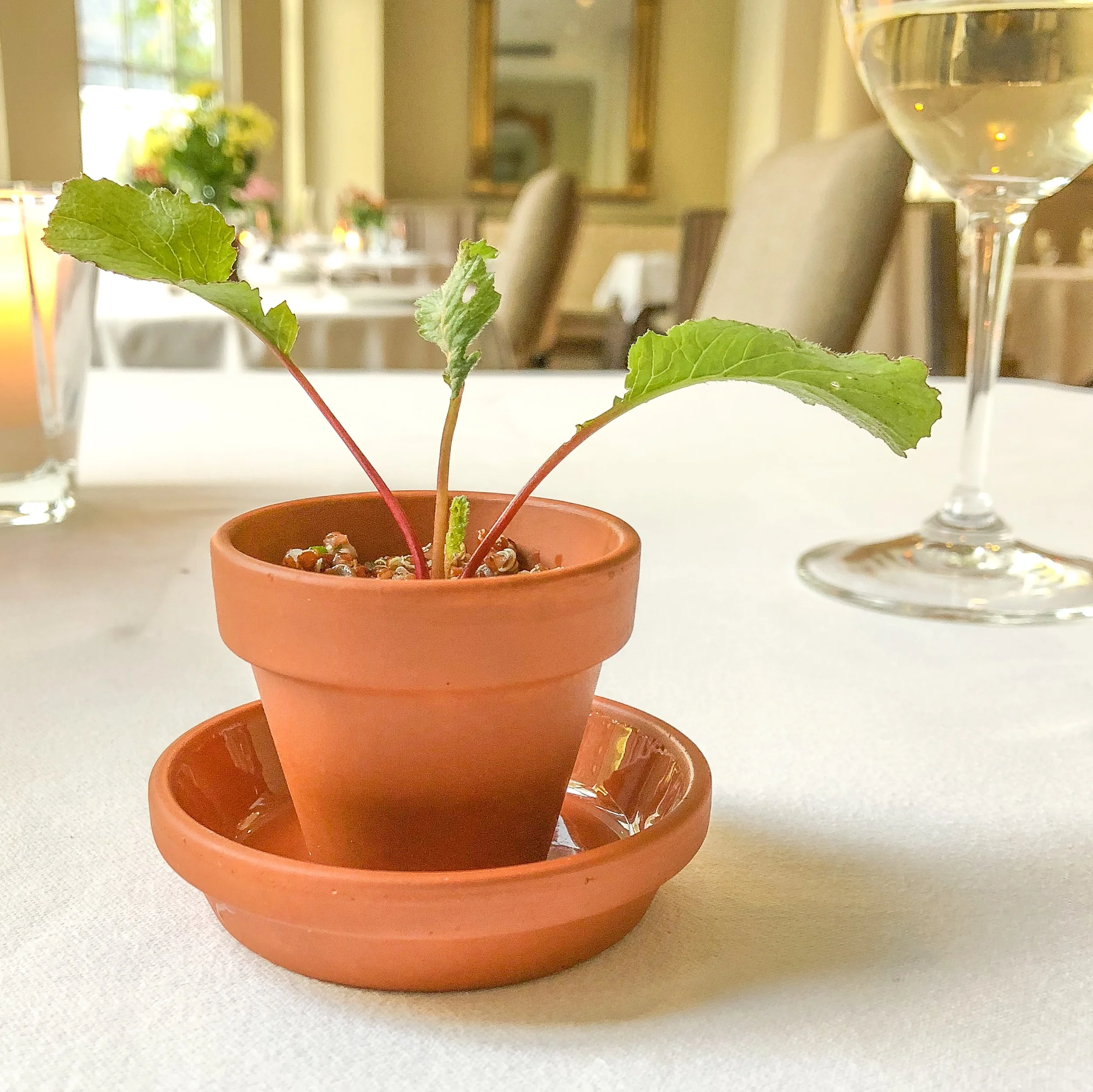 Langdon Hall Country House &amp; Spa in Cambridge, Ontario