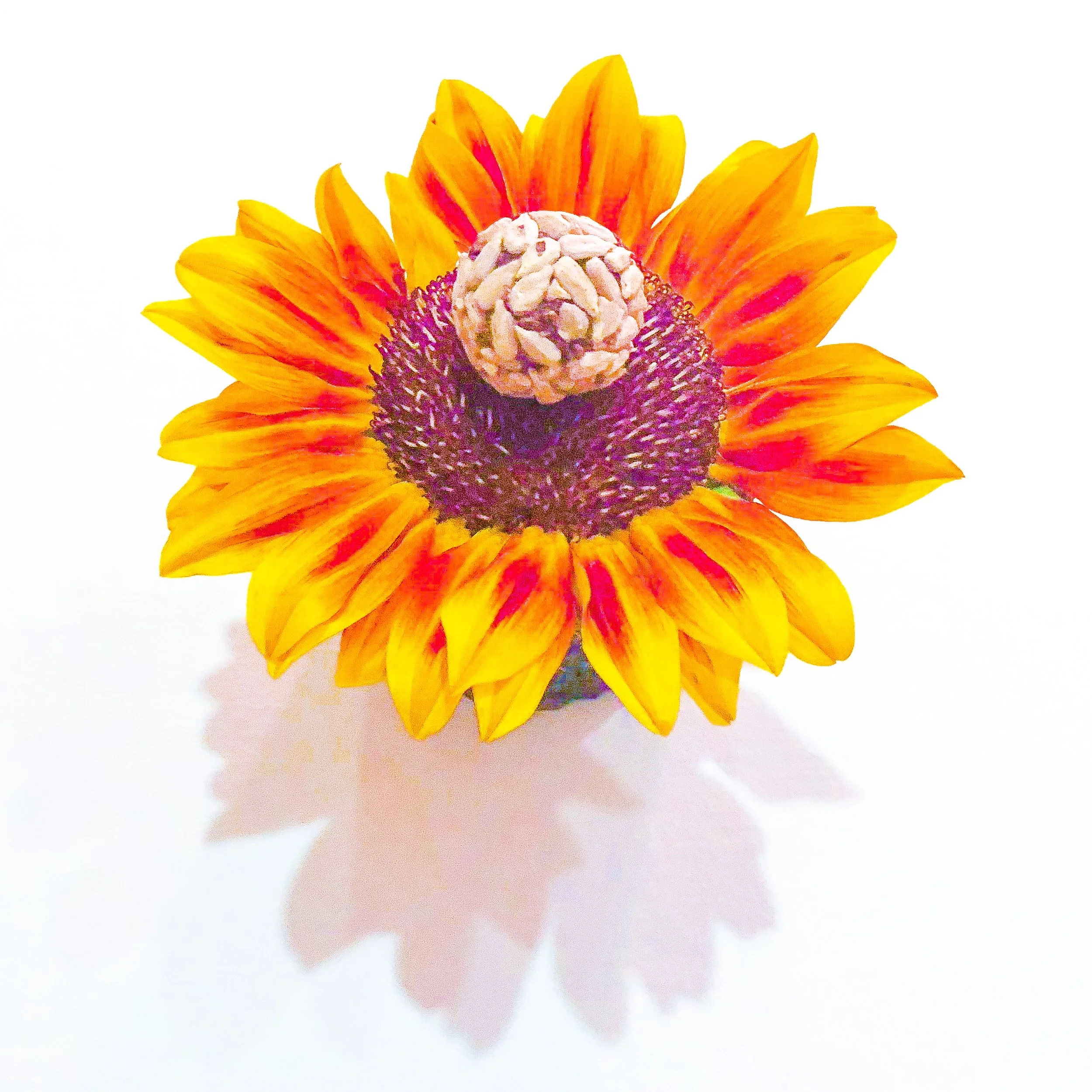 Langdon Hall Country House &amp; Spa in Cambridge, Ontario