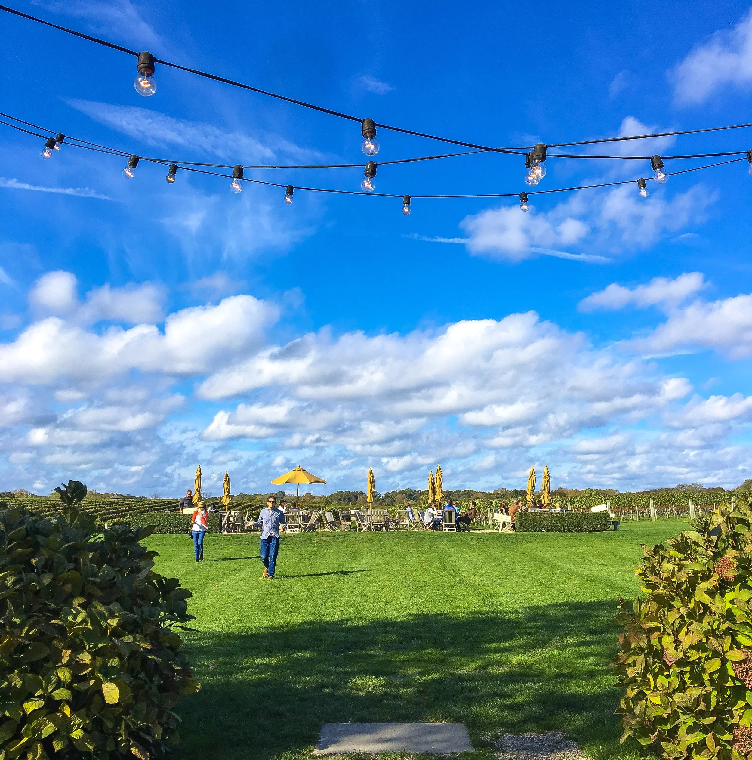 barons-cove-sag-harbor-hamptons