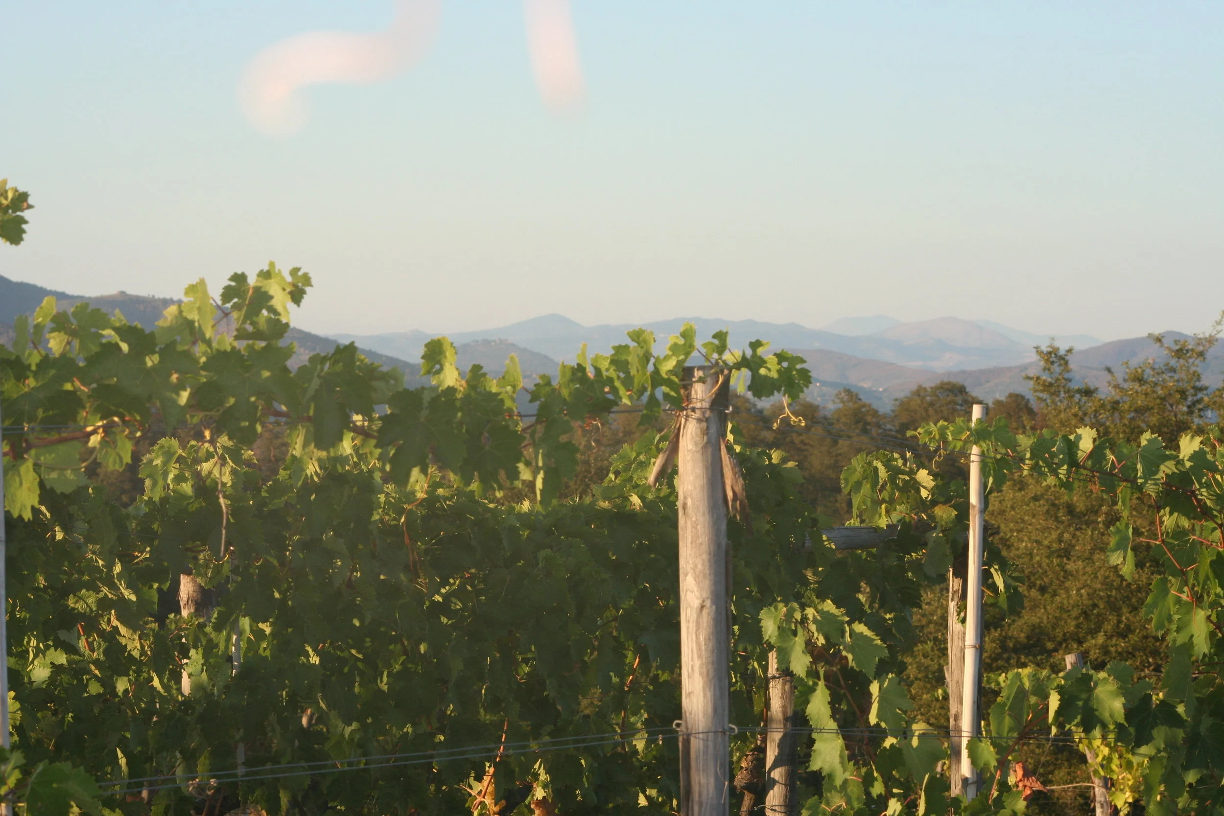 Villa Spalletti Trivelli in Rome, Italy