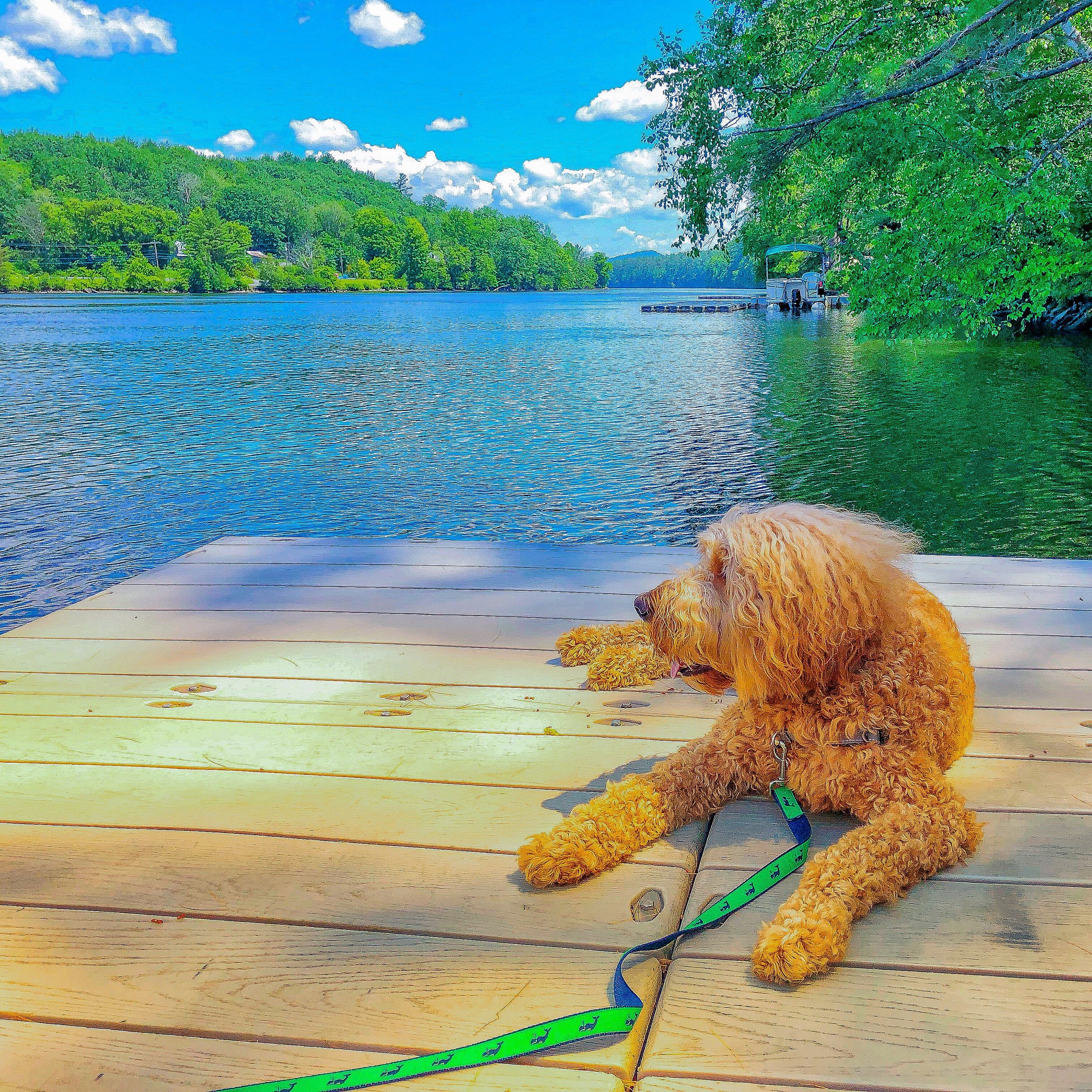 things to do in hanover new hampshire