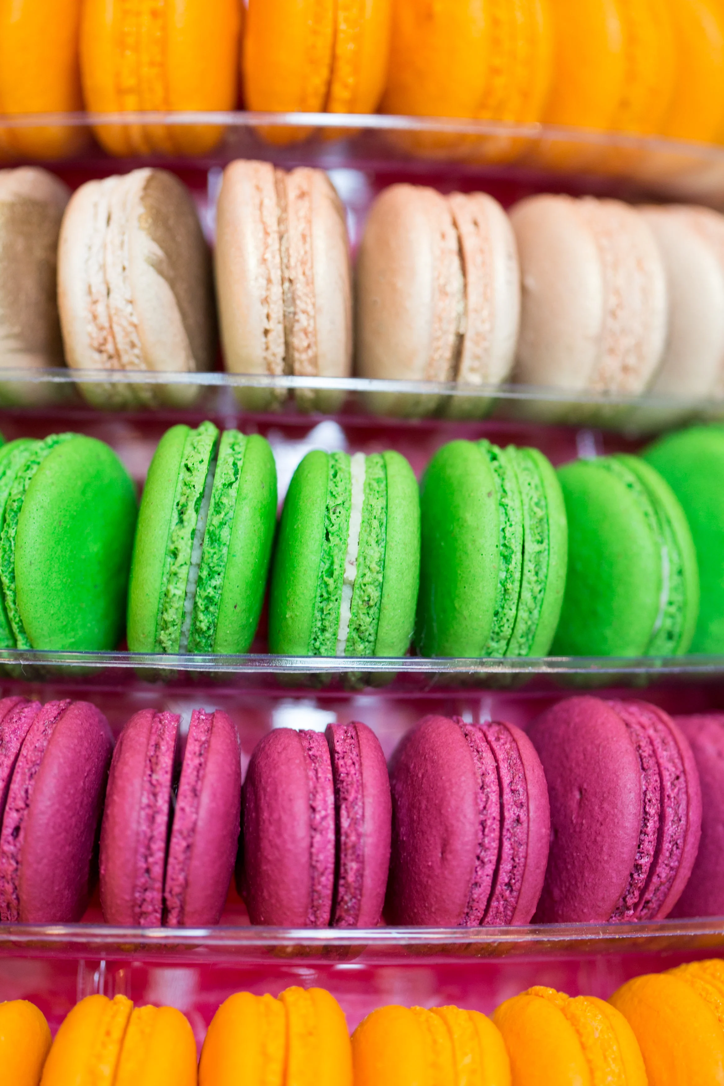 Image Credit: Clare Barboza