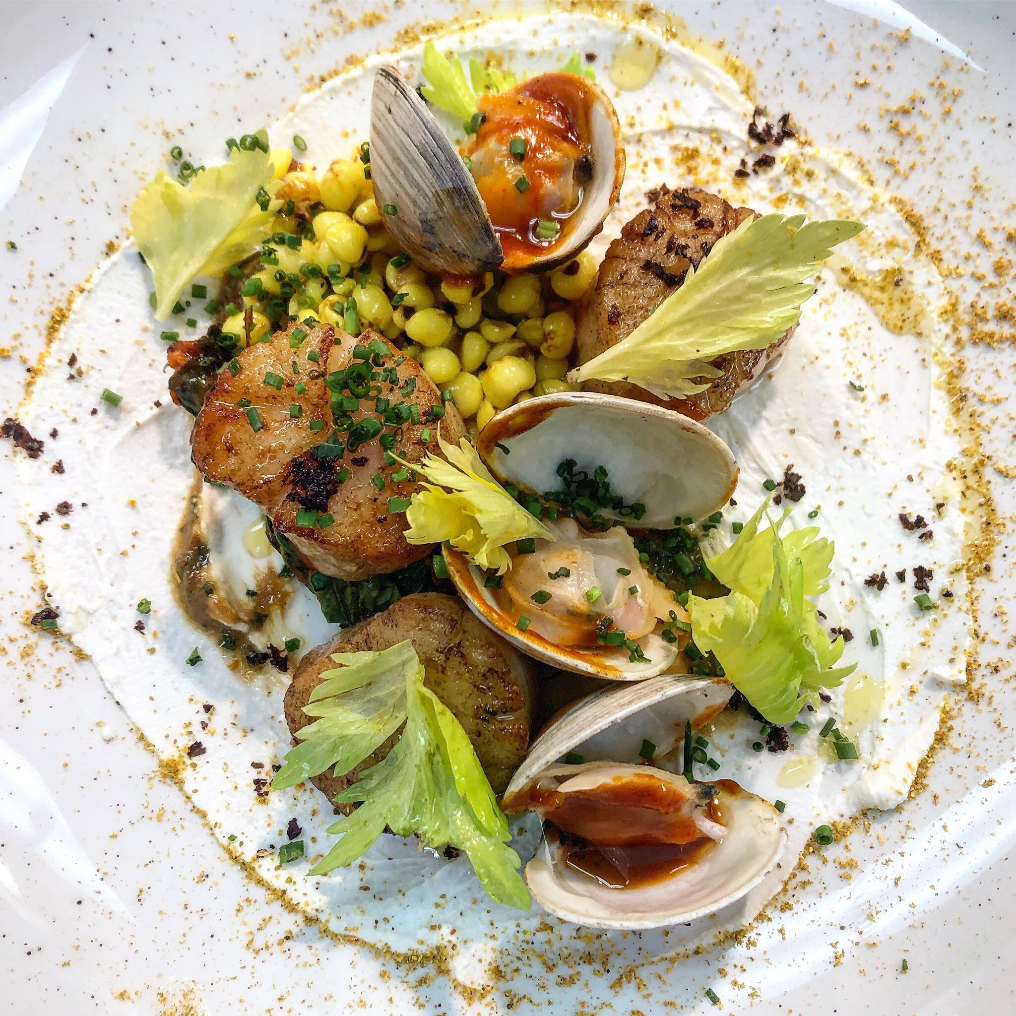 Image Credit: Clare Barboza