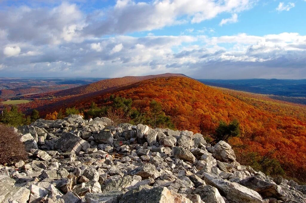 Hawk Mountain Sanctuary