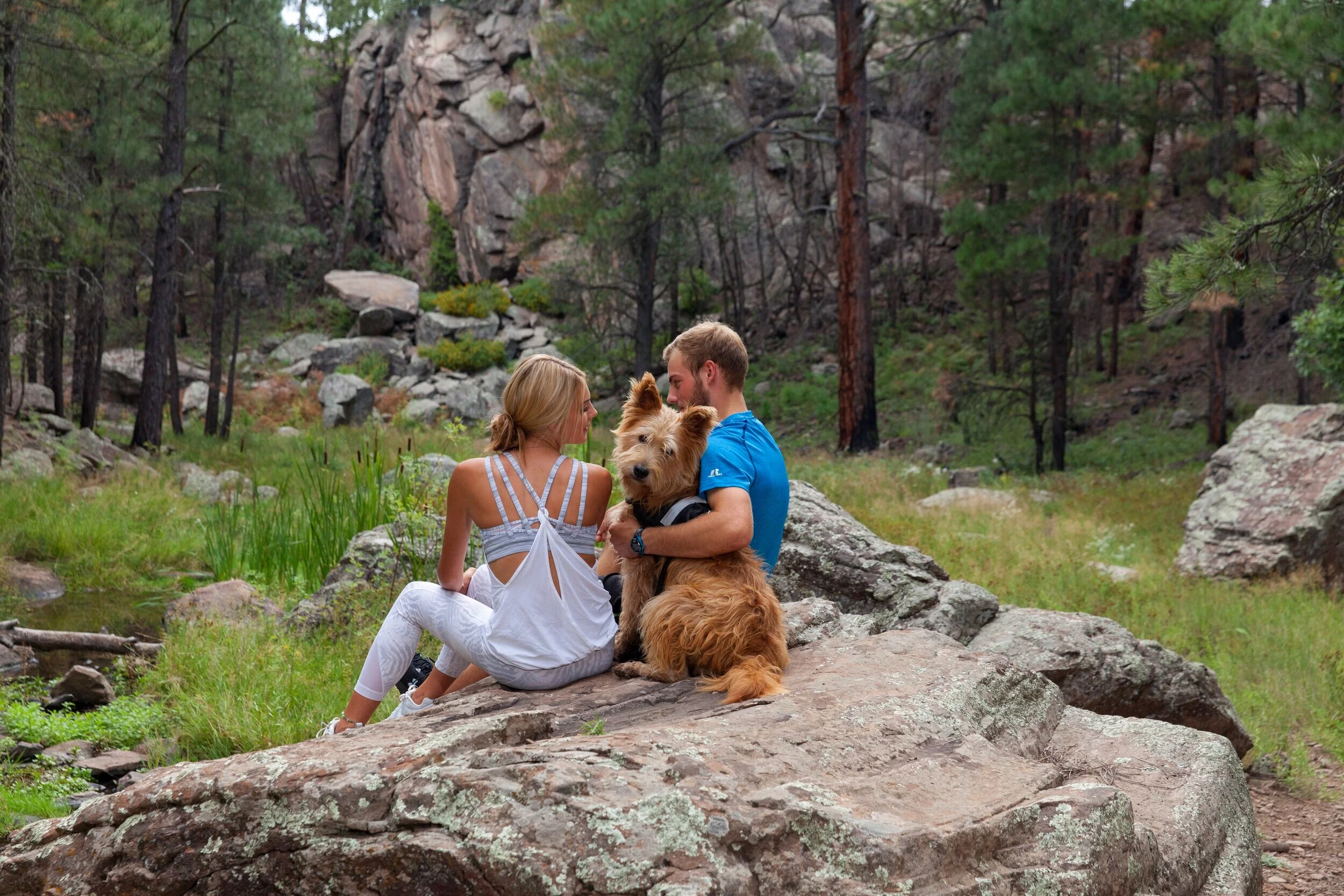   Image courtesy of Discover Flagstaff  