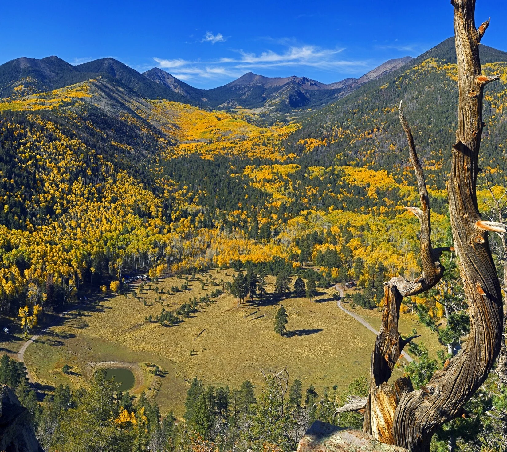   Image courtesy of Discover Flagstaff  