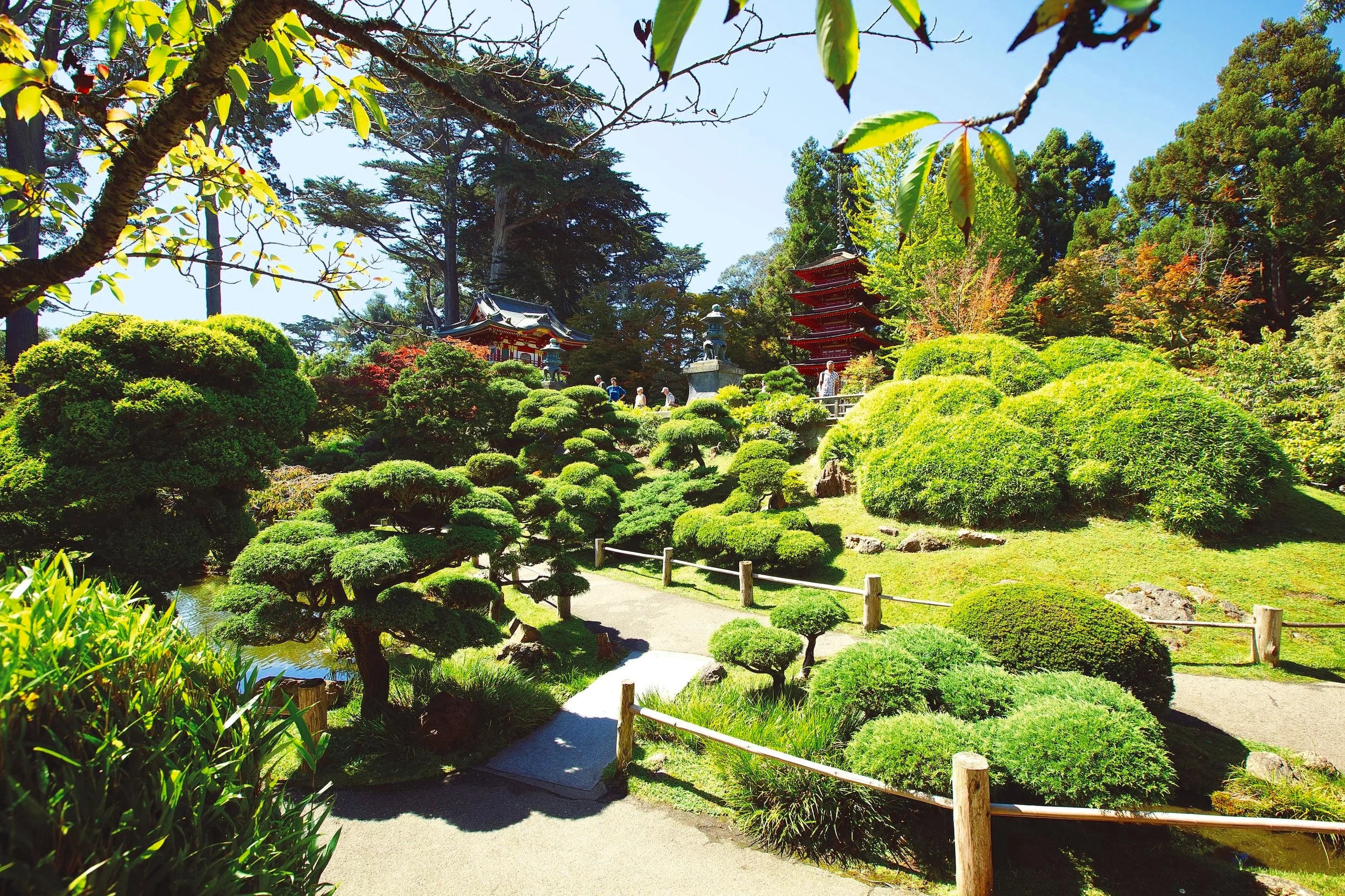 Golden Gate Park