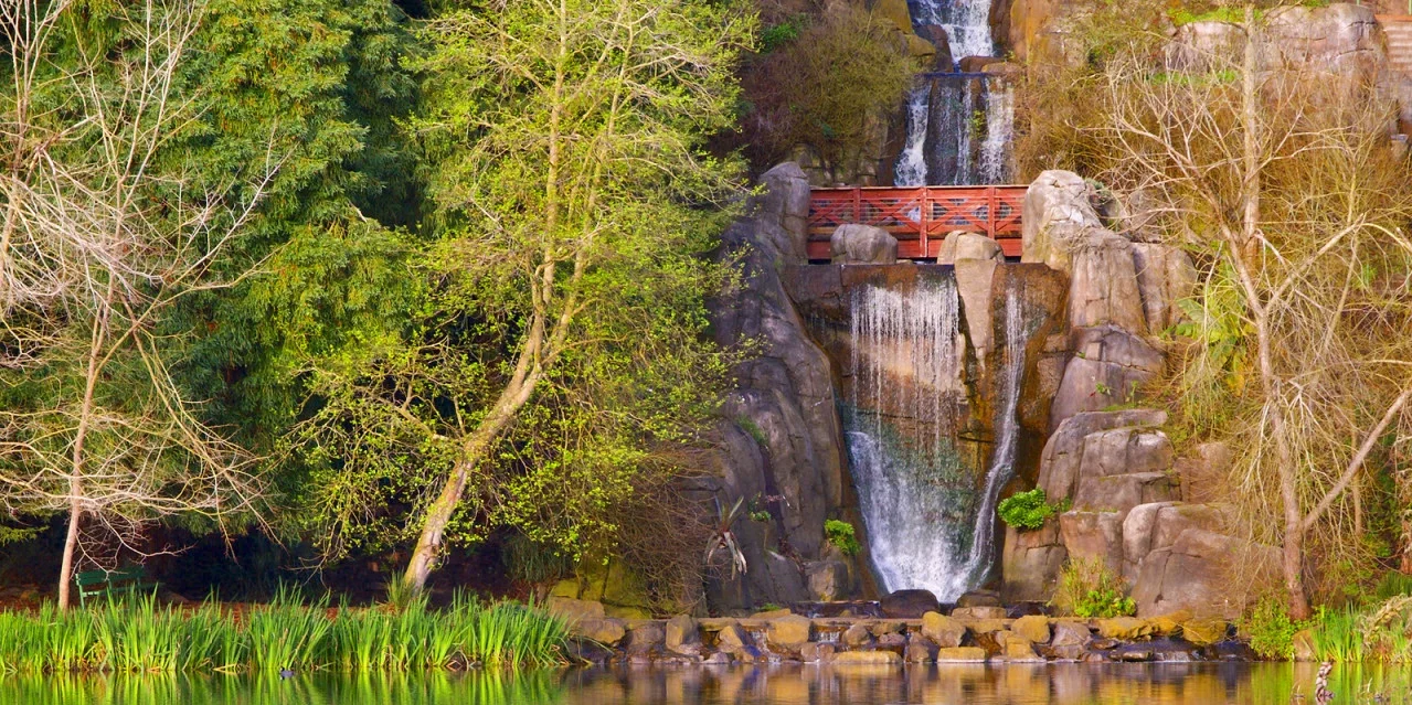 Golden Gate Park